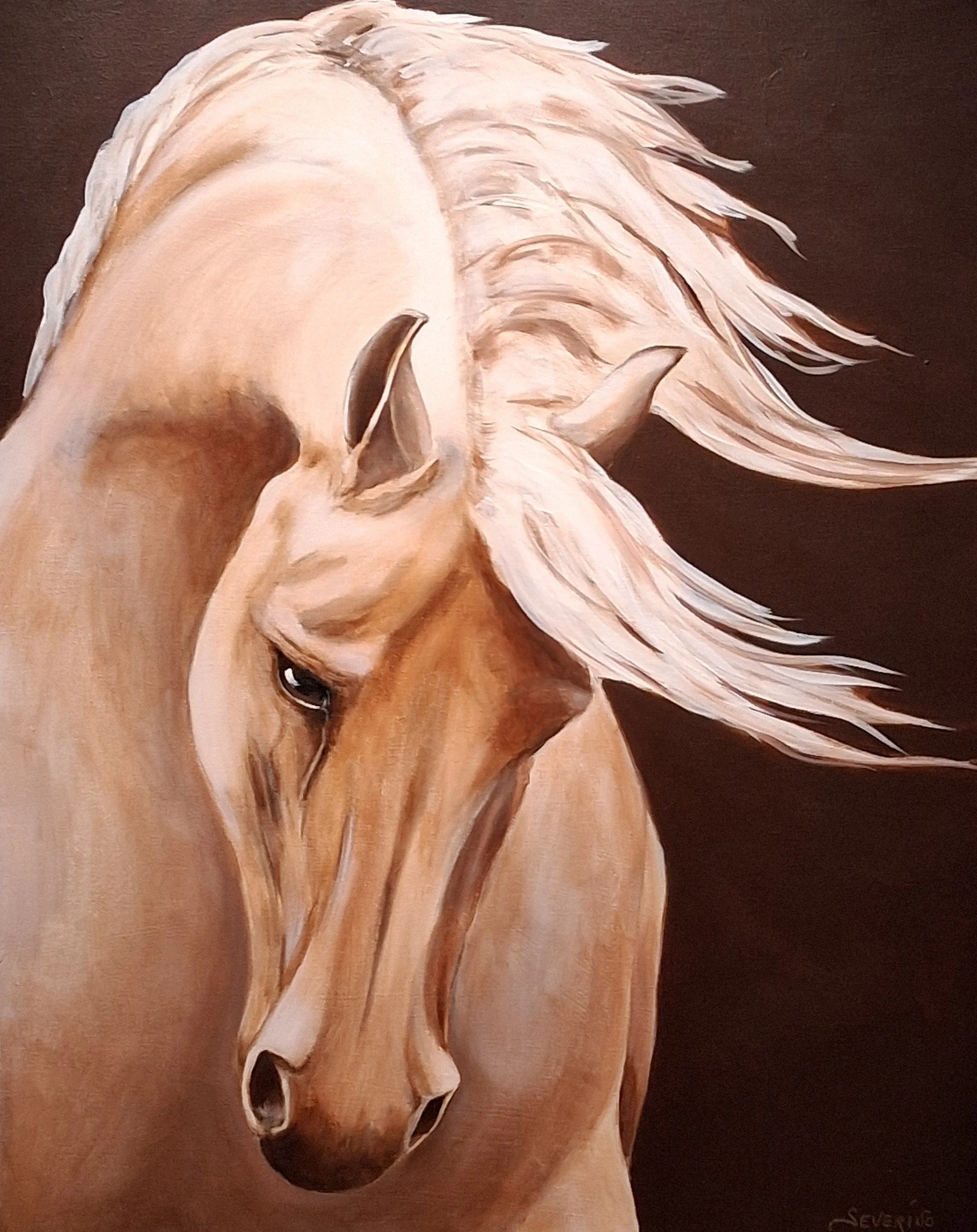 Distinction "Cavallo Bianco" by Amy Severino