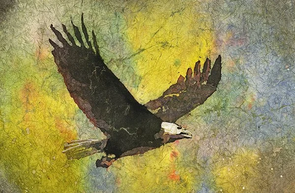 Eagle Batik.jpg