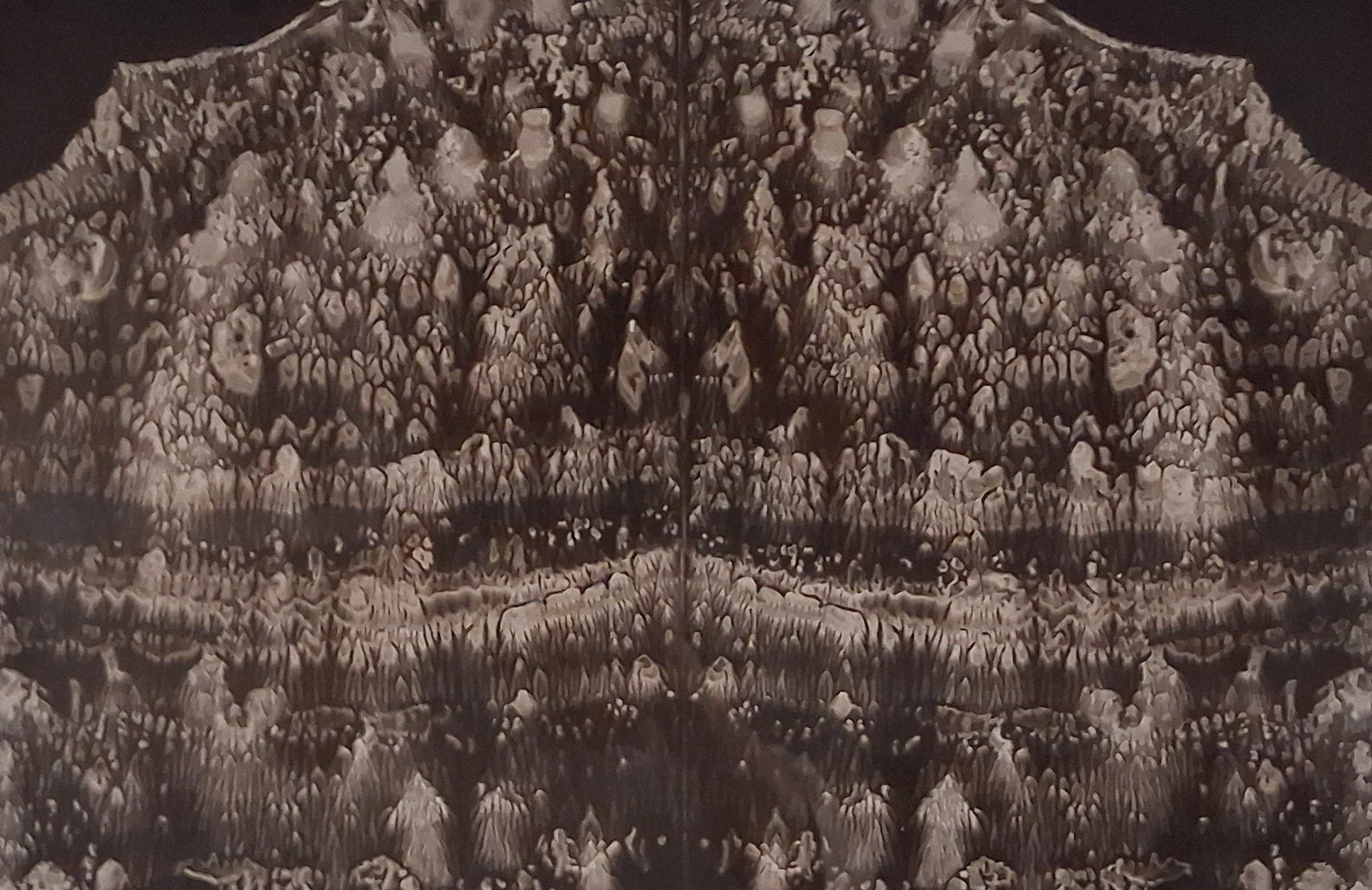 Honorable Mention "Mirror Image" by Sharon LaDue