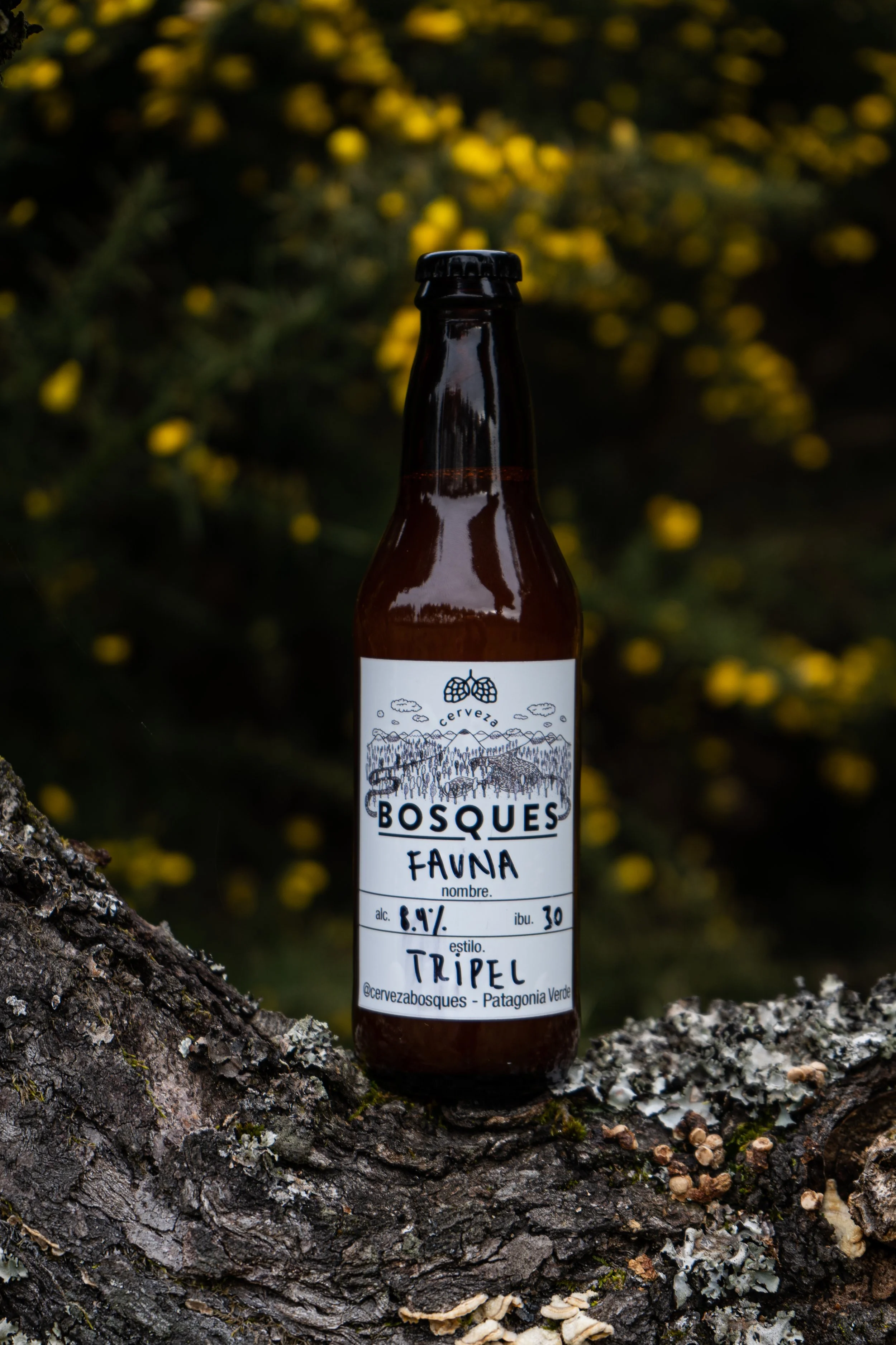 fotos 32gb tough-3 (3).jpg