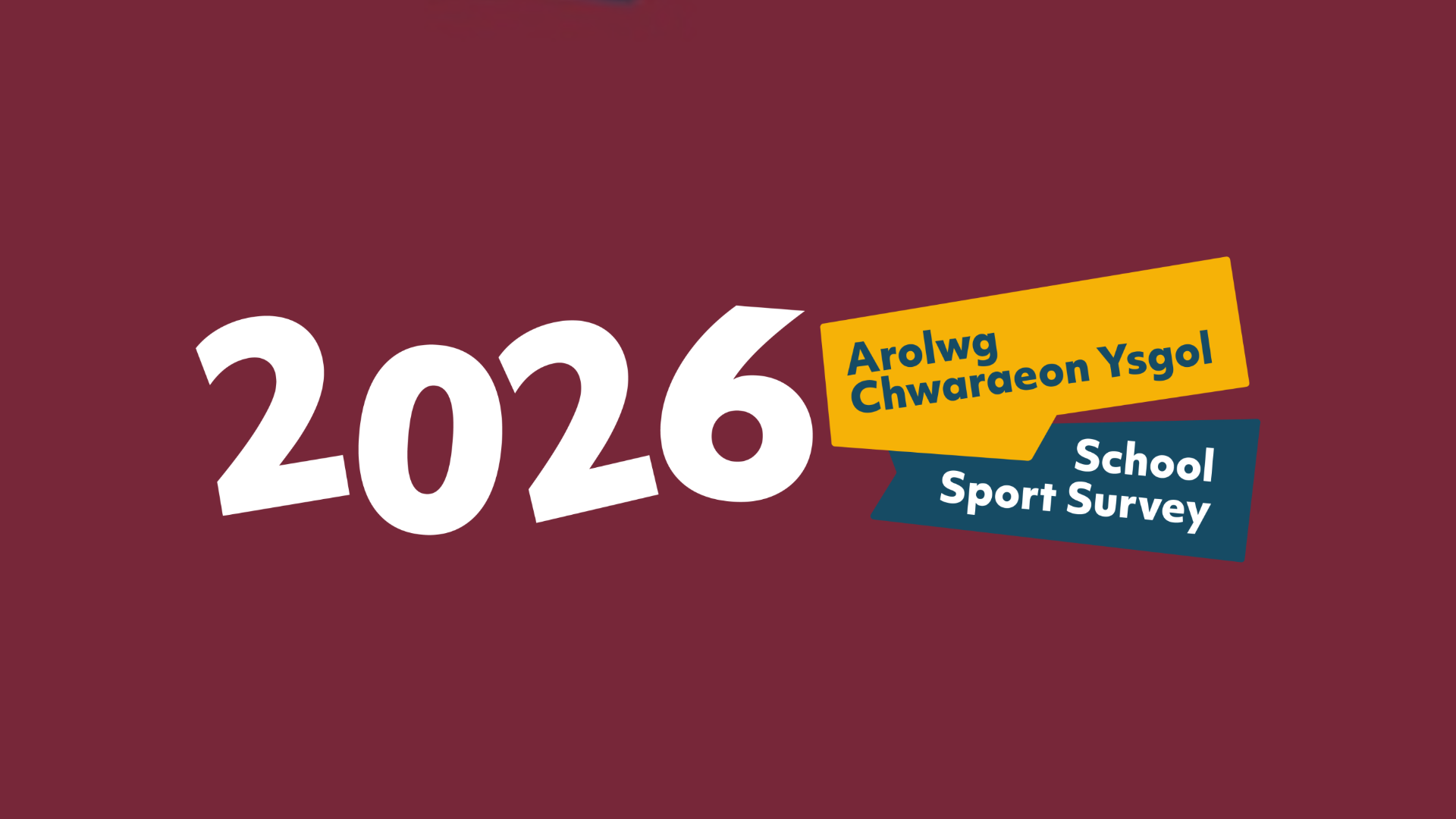 School Sport Survey