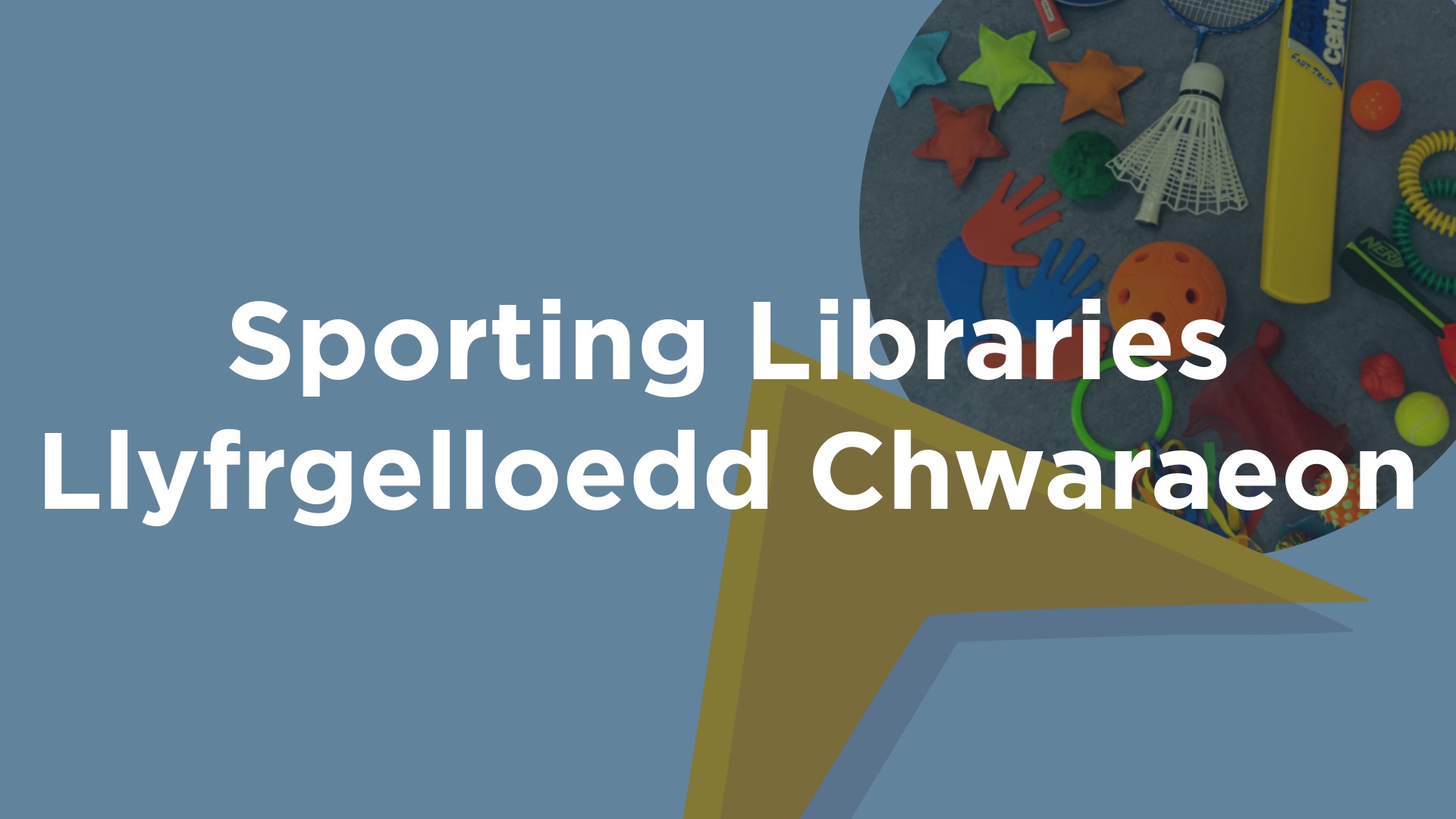 Sporting Libraries