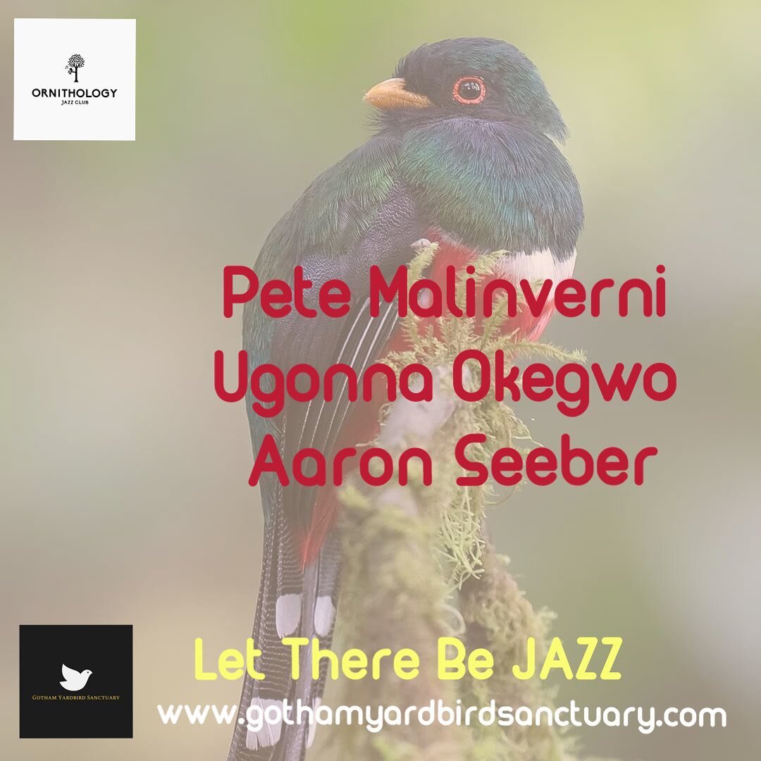 Tonight 2/3/2022 GYS headquarter Ornithology Jazz Club presents GYS Yardbird Jam with @malinvernimusic (p) Trio with Ugonna Okegwo (b) @aaronseeber (d) from 9 to midnight.

Happy to welcome back Pete&rsquo;s trio that opened Ornithology in October 20