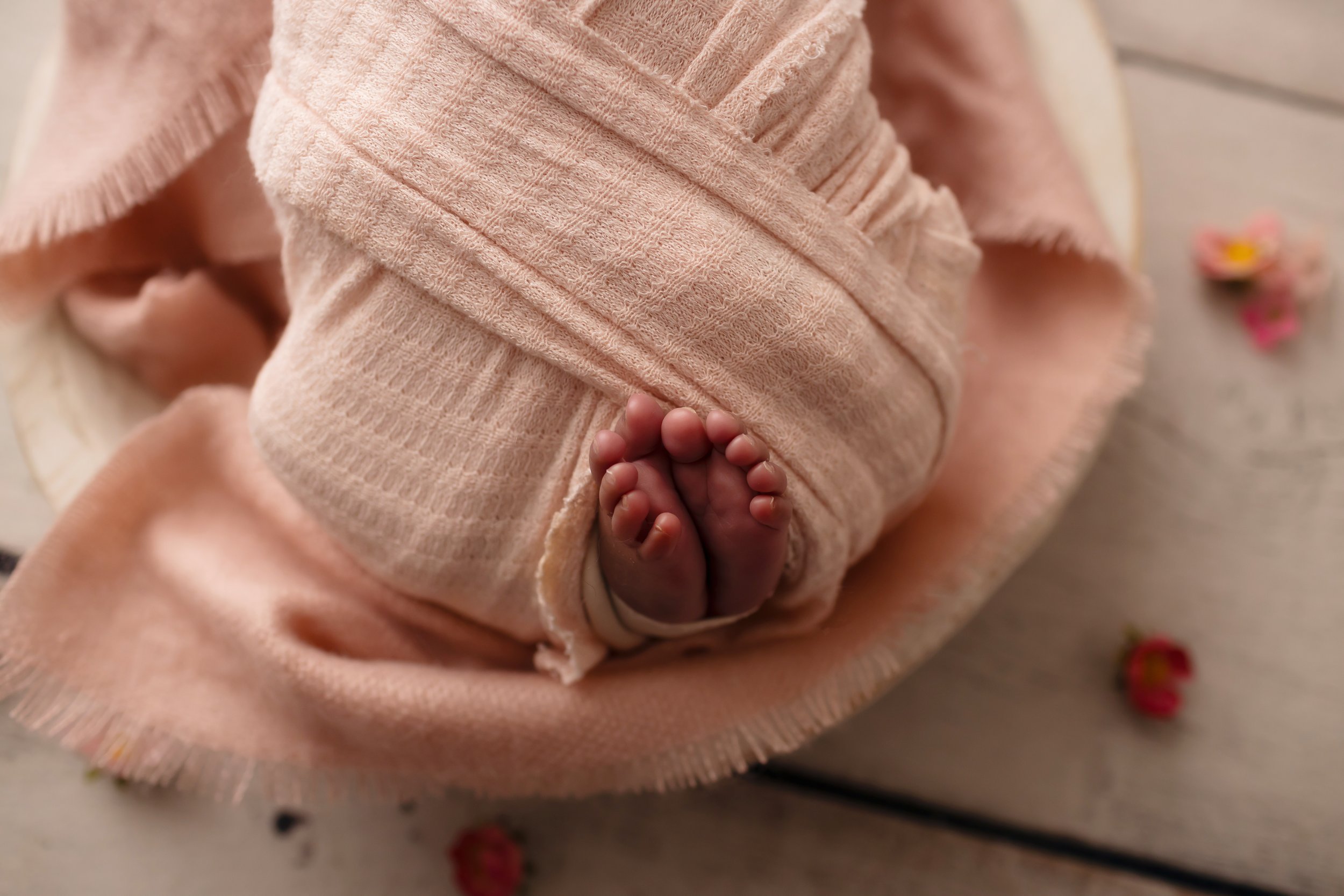 Greensboro newborn photographer