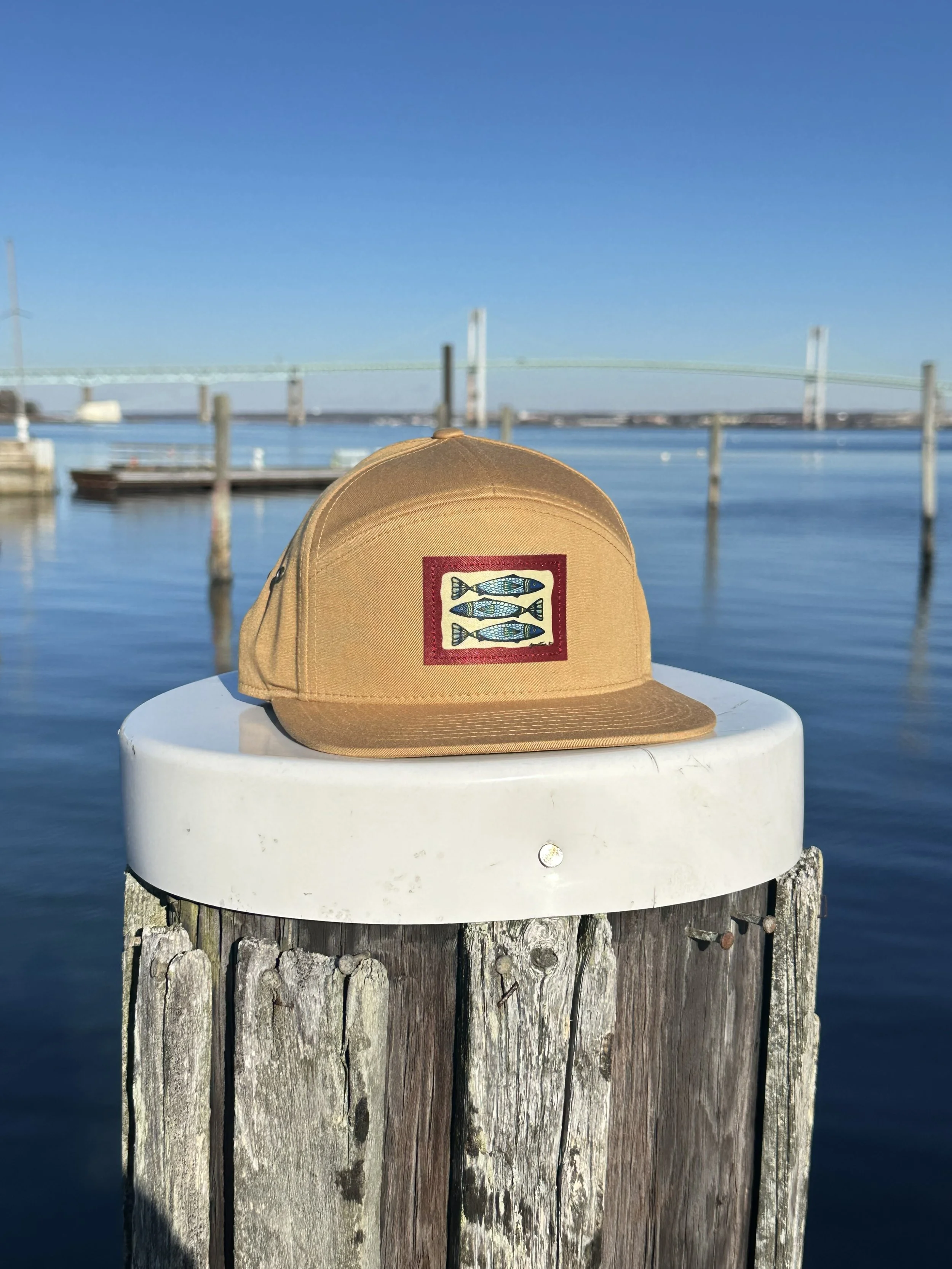 Biscuit 3 Fish Hat
