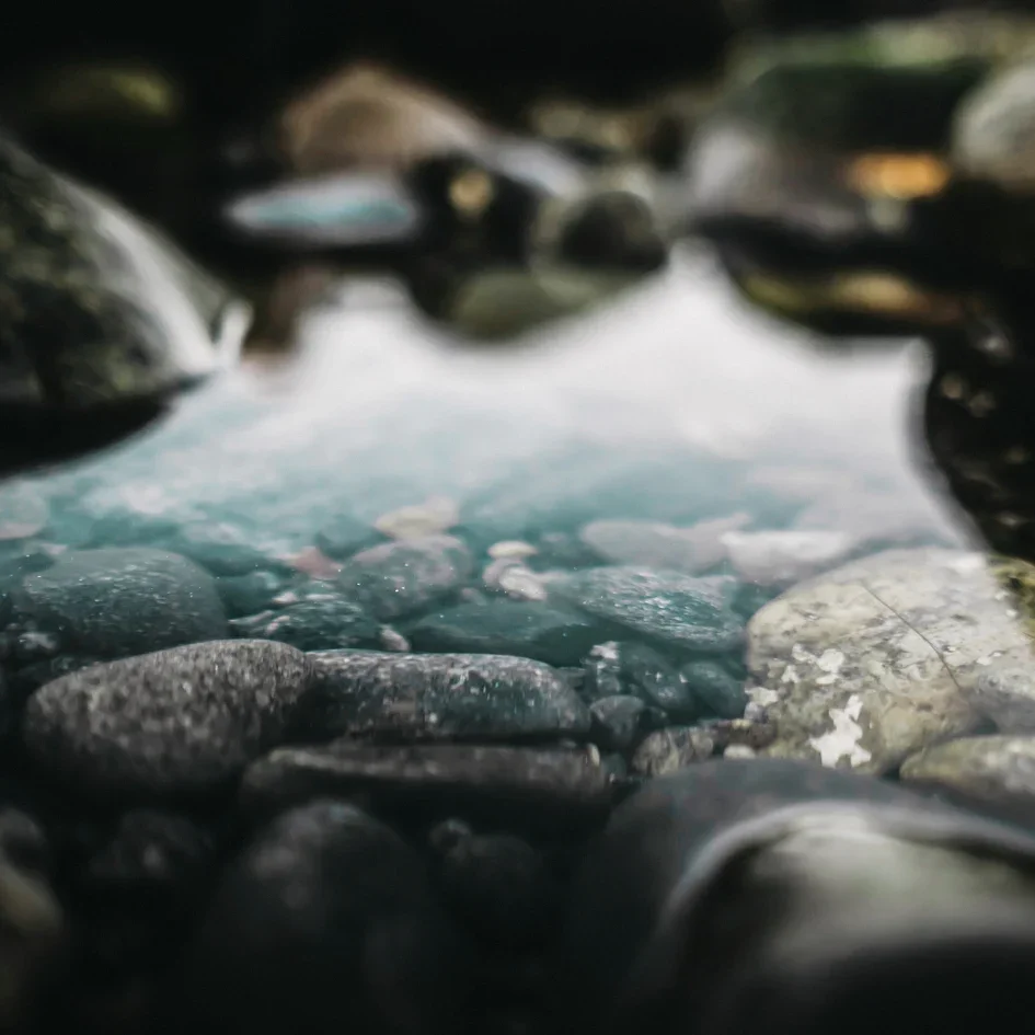 Tranquillity-5_b78e6d54-6b0f-430c-b3cf-69354227e284_945x945.webp