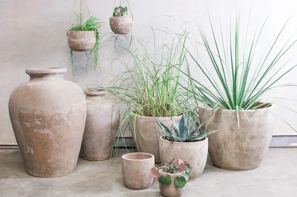 AffitiClayTaperedPot-Large3 (1).webp