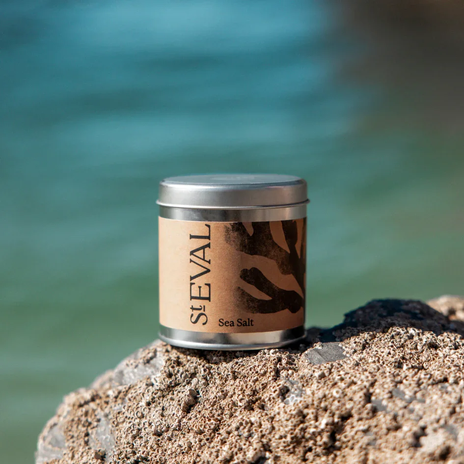 SeaSalt-4_b12b8450-1425-4f03-a16c-c4e9a6965639.webp