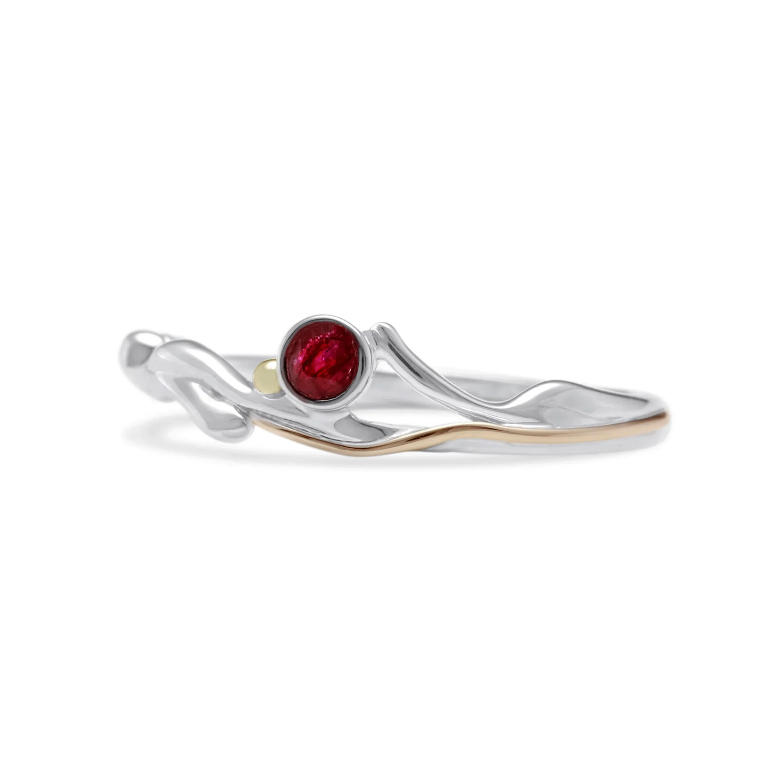 Ri4003-1-scaled.webp