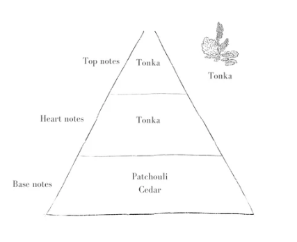 Screenshot 2025-11-26 170205.png