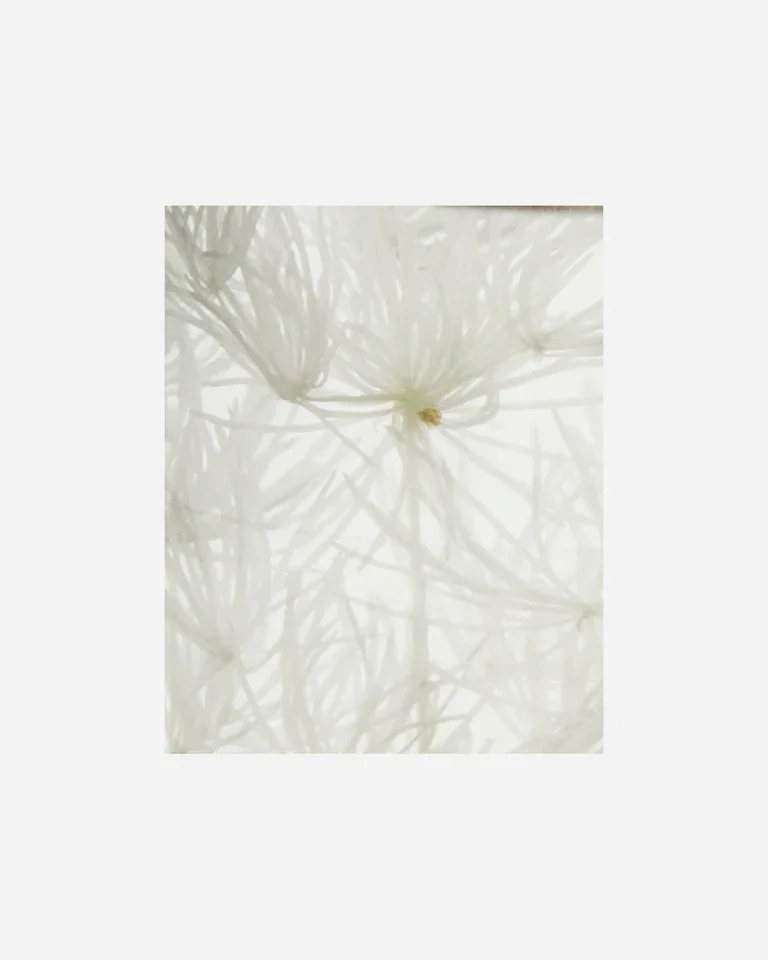 meraki-diffuser-lilac-muse-240-ml (1).webp