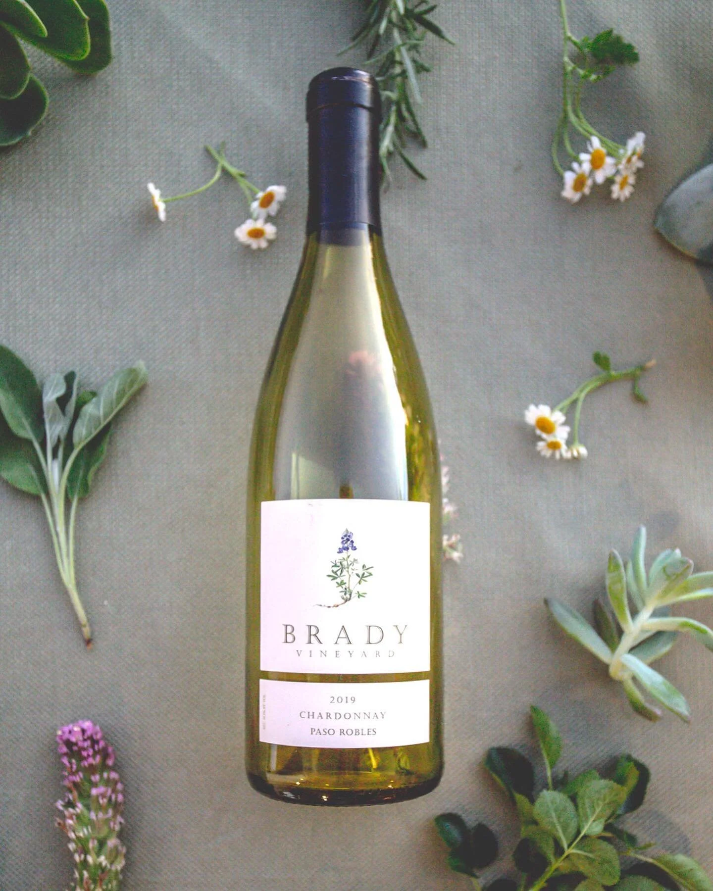 Happy New Year from Brady Vineyard ! 

Tasting Notes:

The Brady Vineyard Chardonnay is rich luxurious wine, bright gold in color with aromas of apple and butterscotch. On the palate flavors are of pear and caramel accented by hints of vanilla; a per