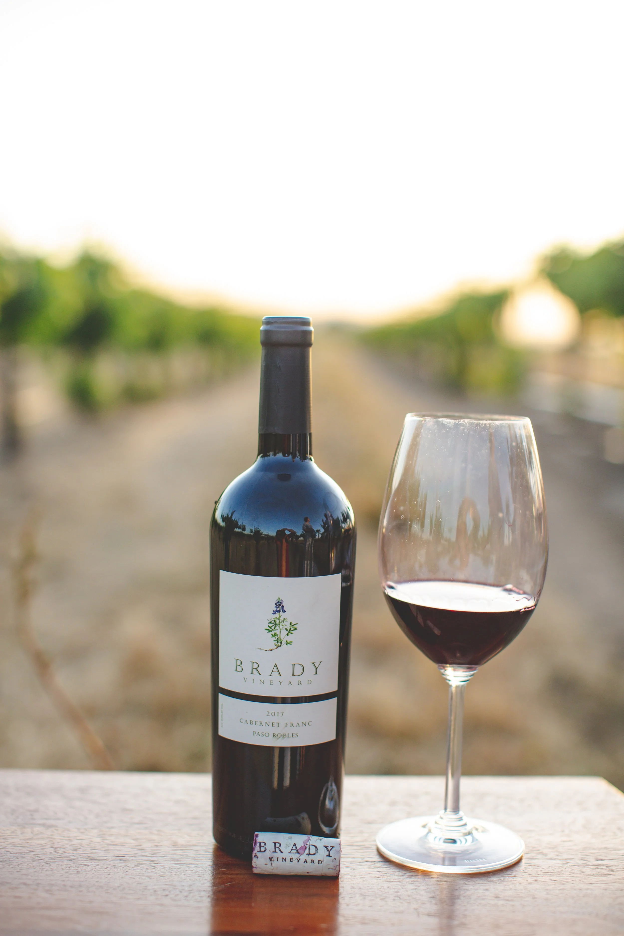 Vineyard — Brady Vineyard