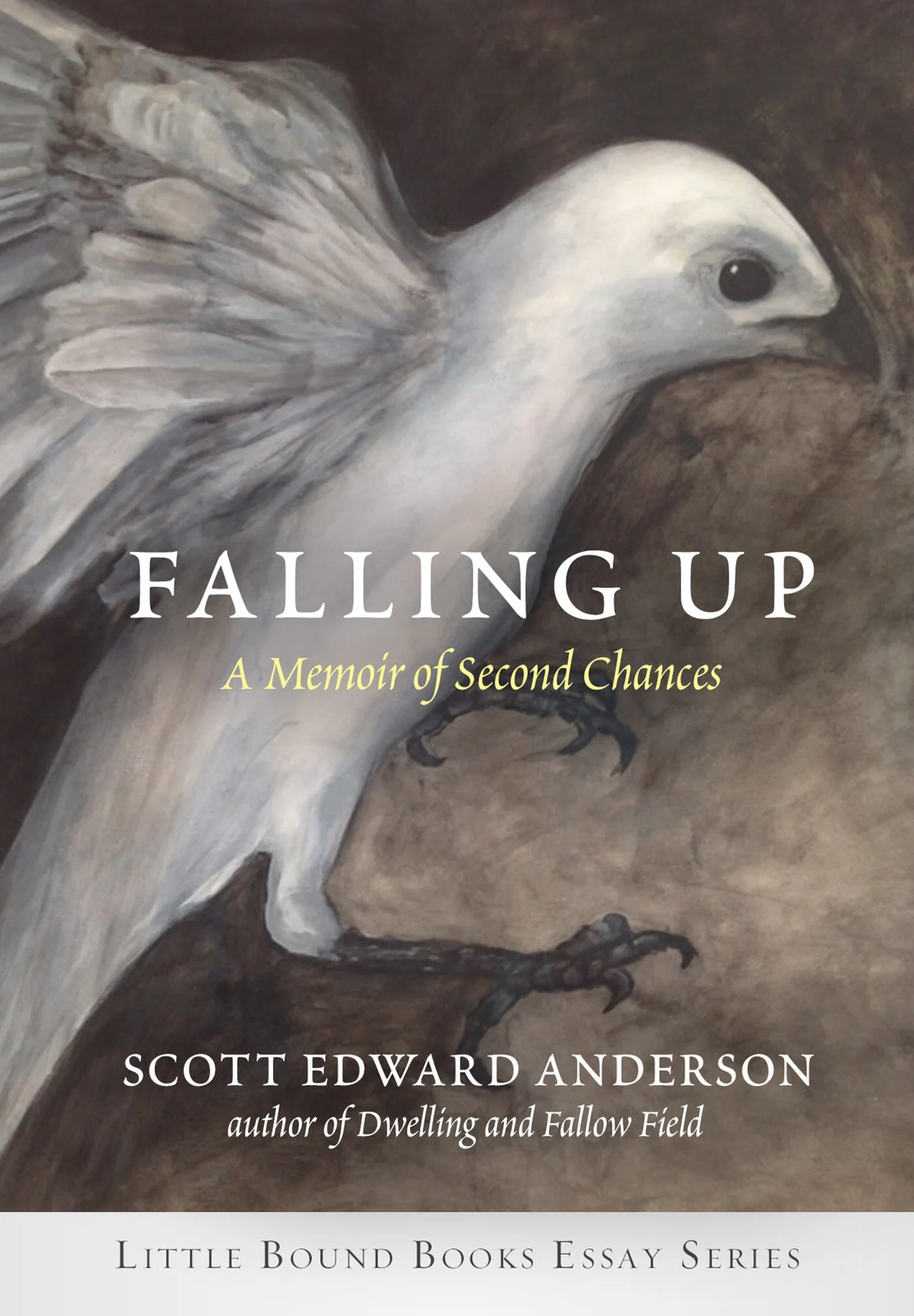 Falling Up Cover Retail.jpg