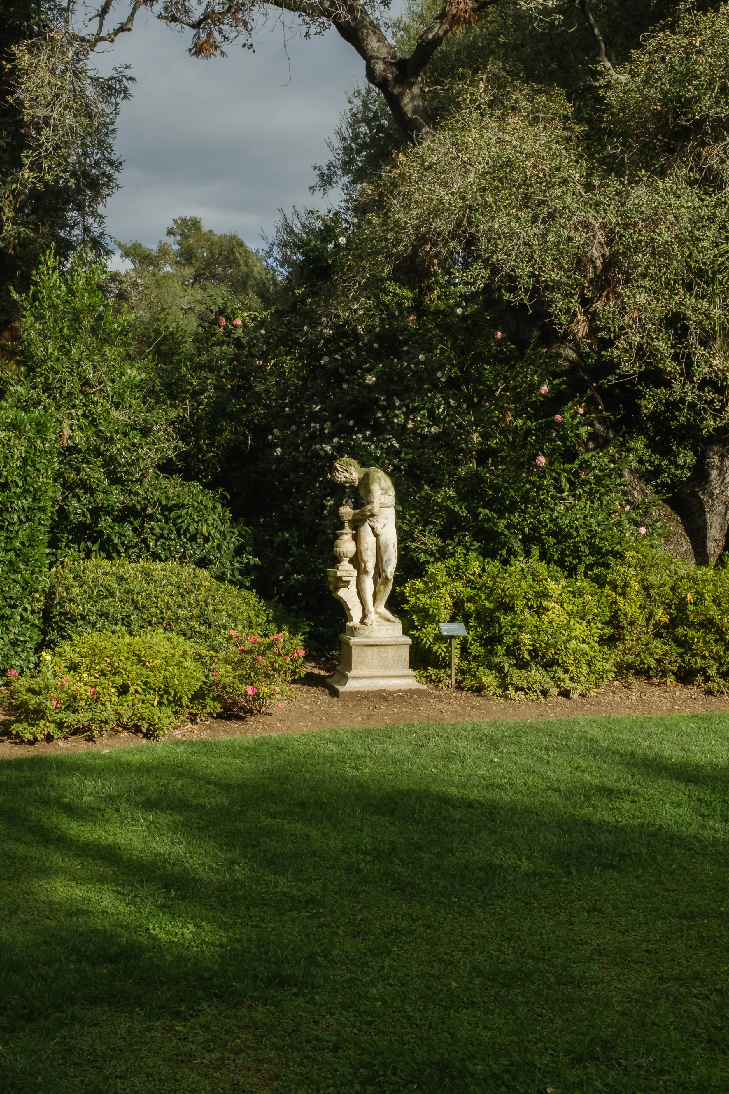 DSCF6293.jpg