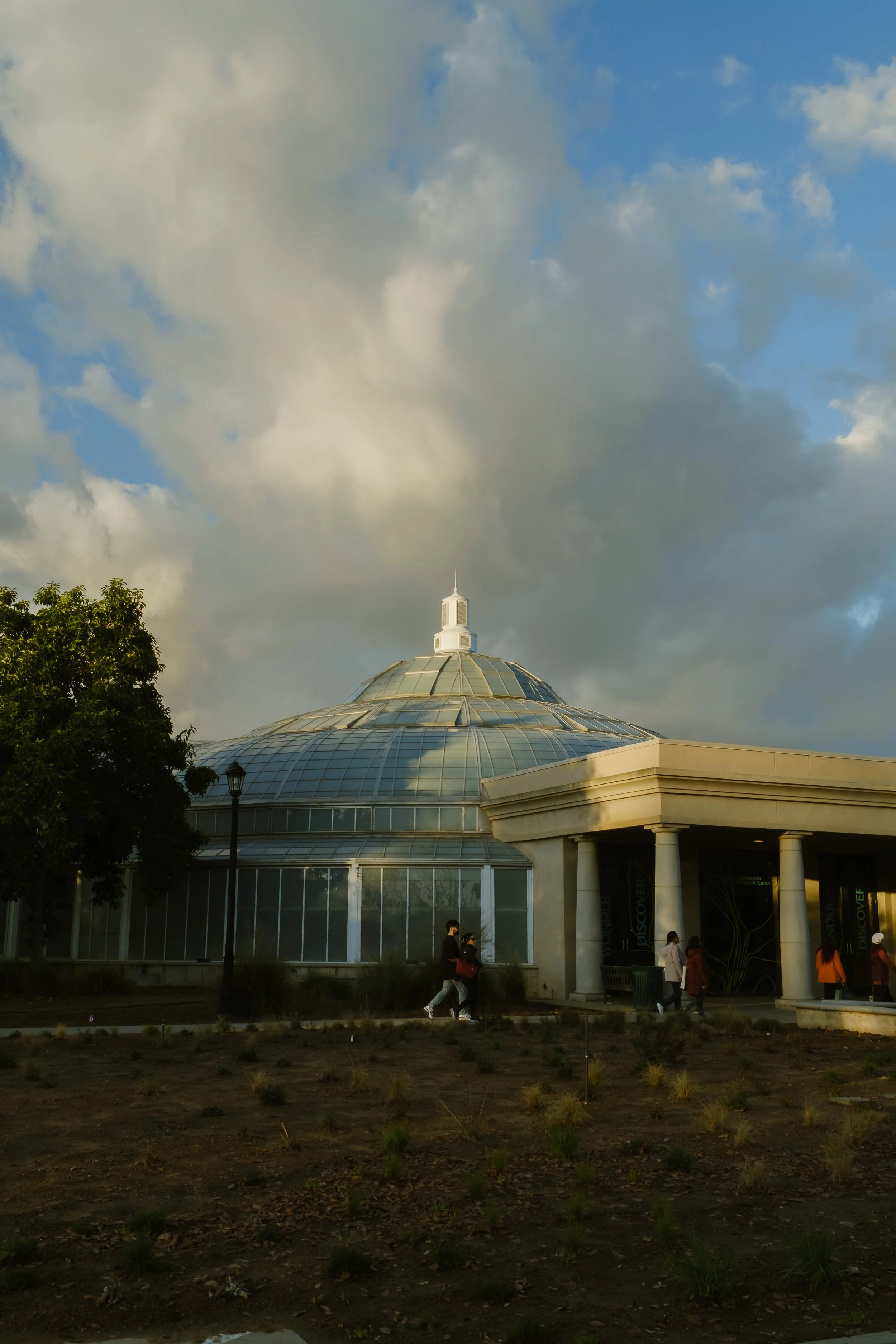 DSCF6406.jpg