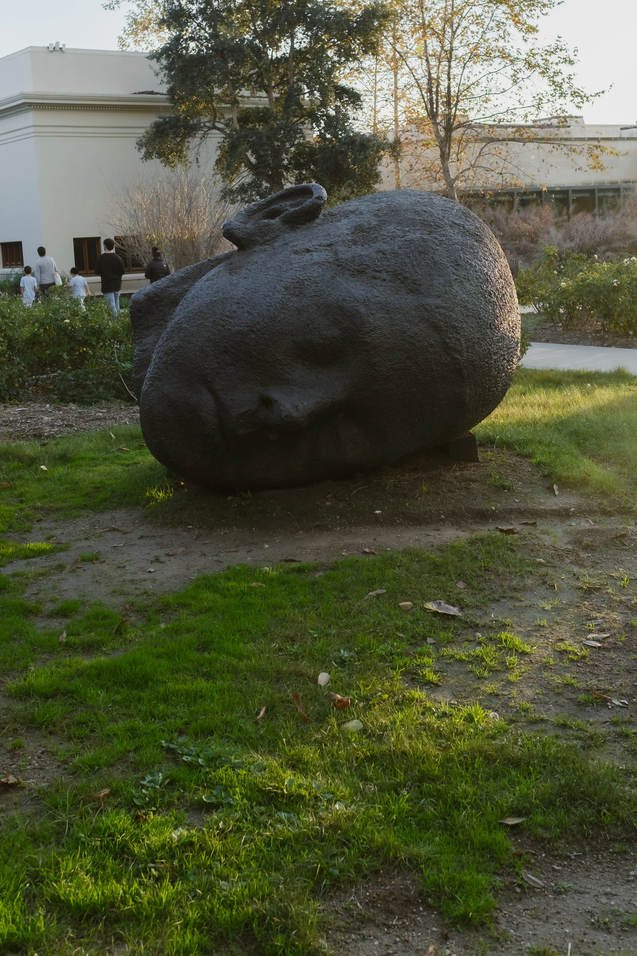DSCF6407.jpg