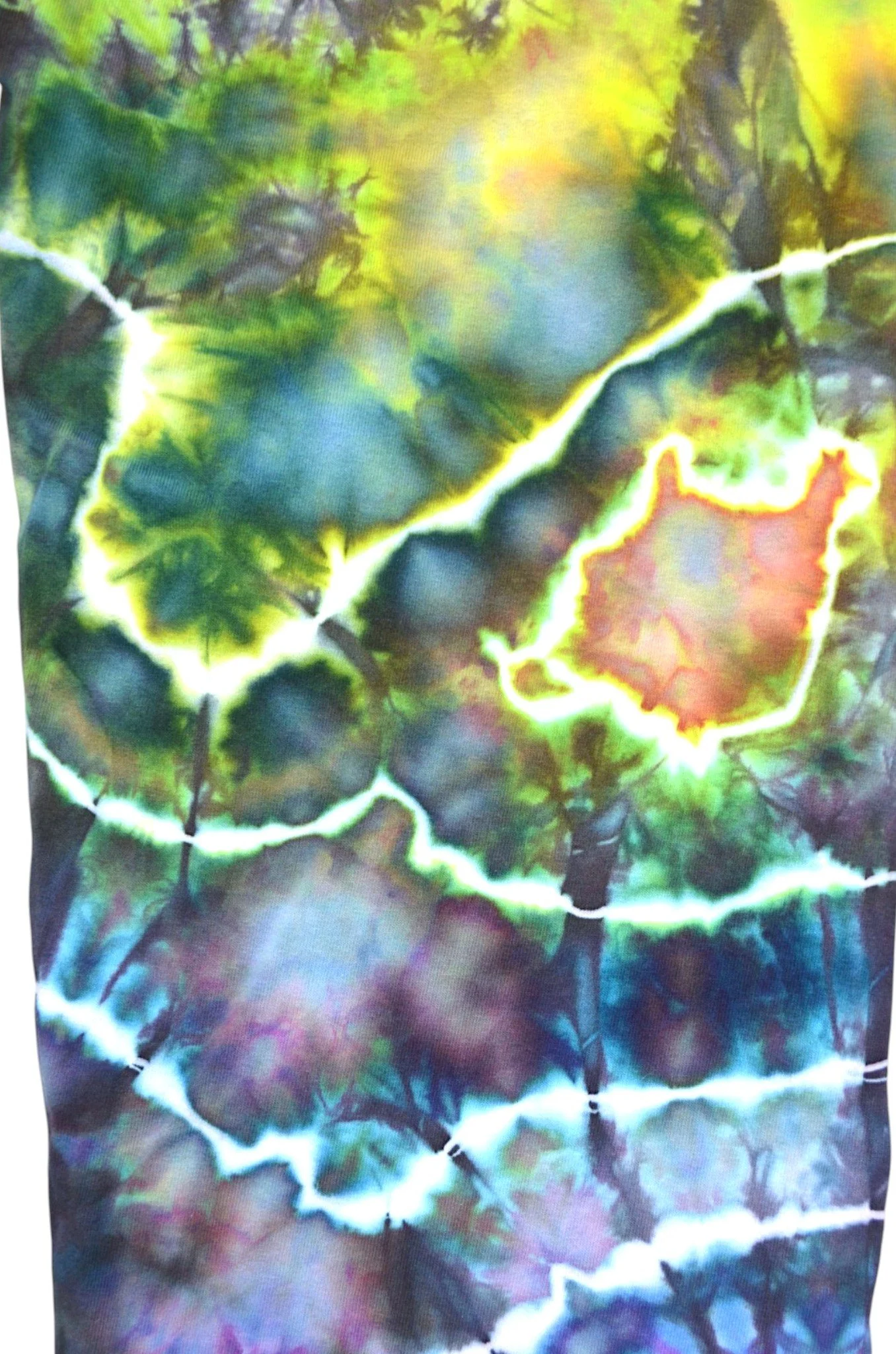 DSC_0579.jpg