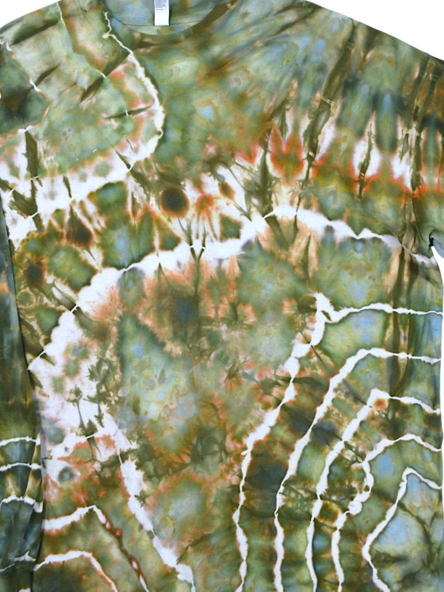 image-10.jpg