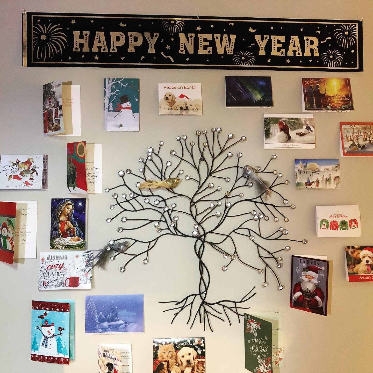 Though we were apart this holiday season, love and best wishes arrived in the mail. There is a lot of love around this tree of life 🌿

A New Year brings excitement, joy, and sometimes fear of the unknown. Embrace all your feelings and step into 2021