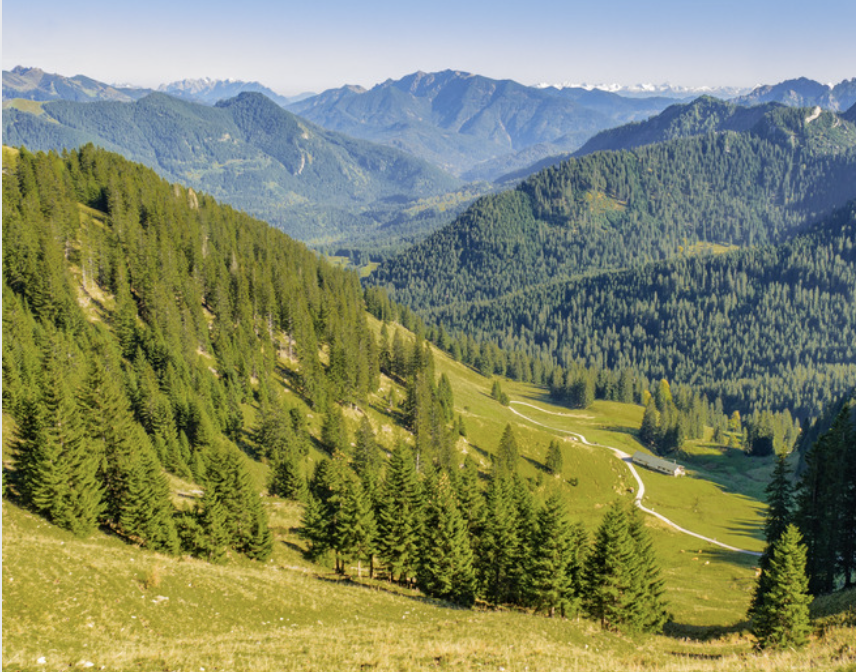 Firearm Injury Prevention Strategies from a National Shooting Sports Competitor