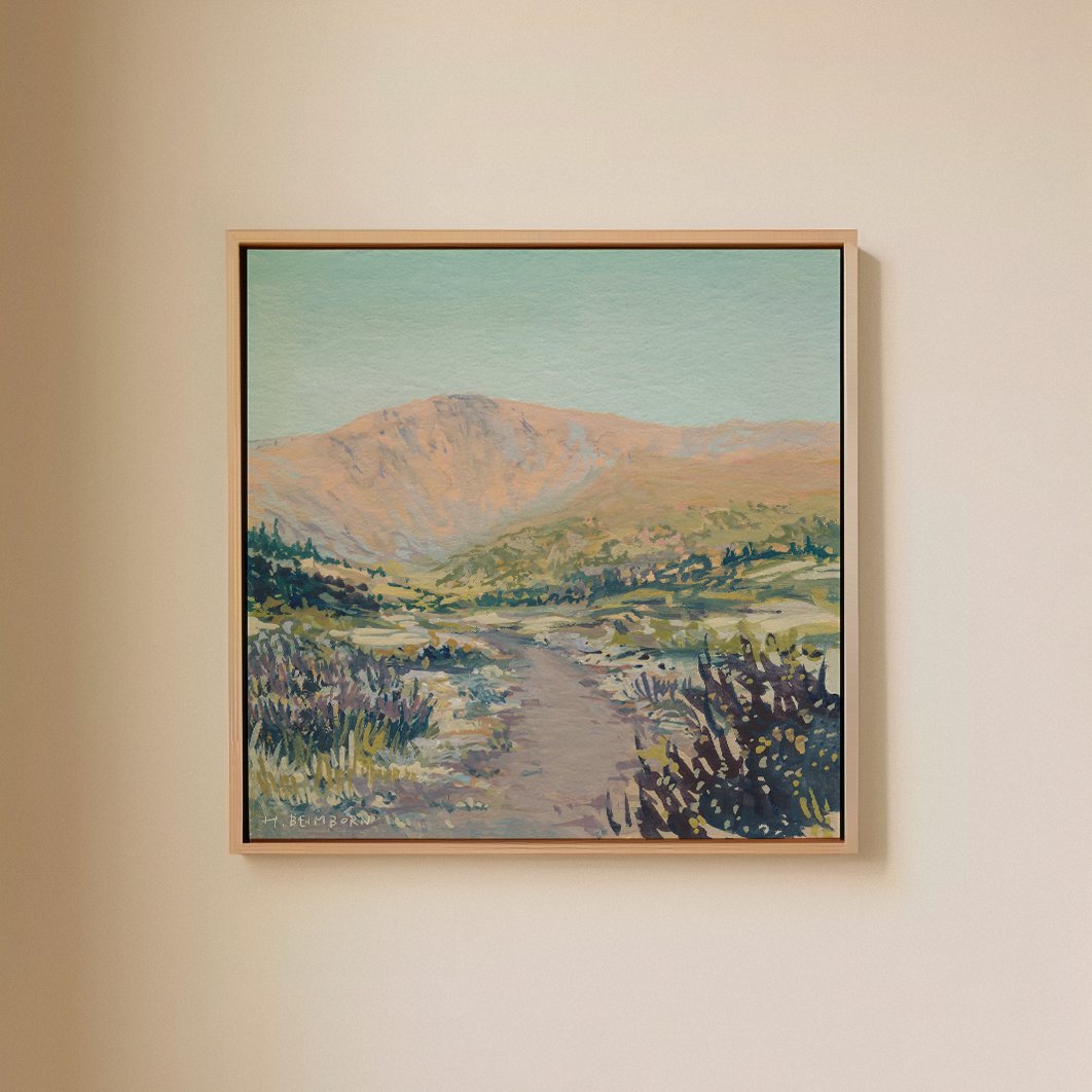 6Thicker Canvas Frame copy.jpg