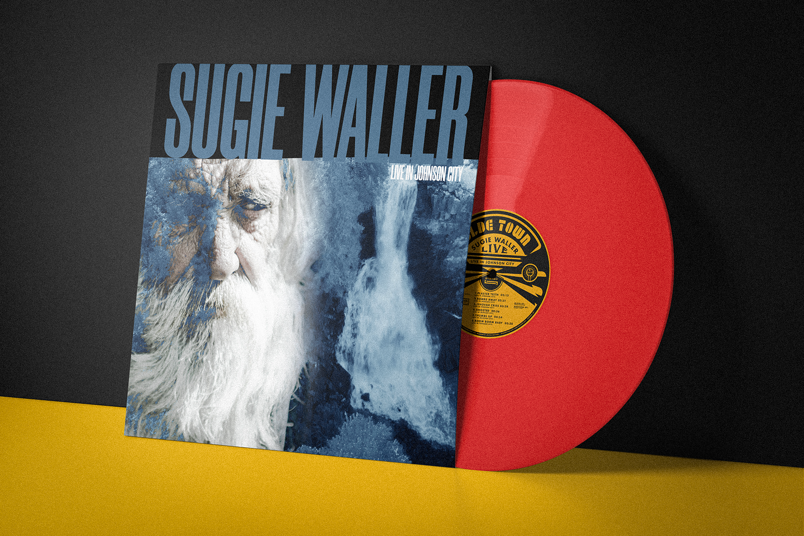 OLDEtowne_Vinyl Mock-up 3.png