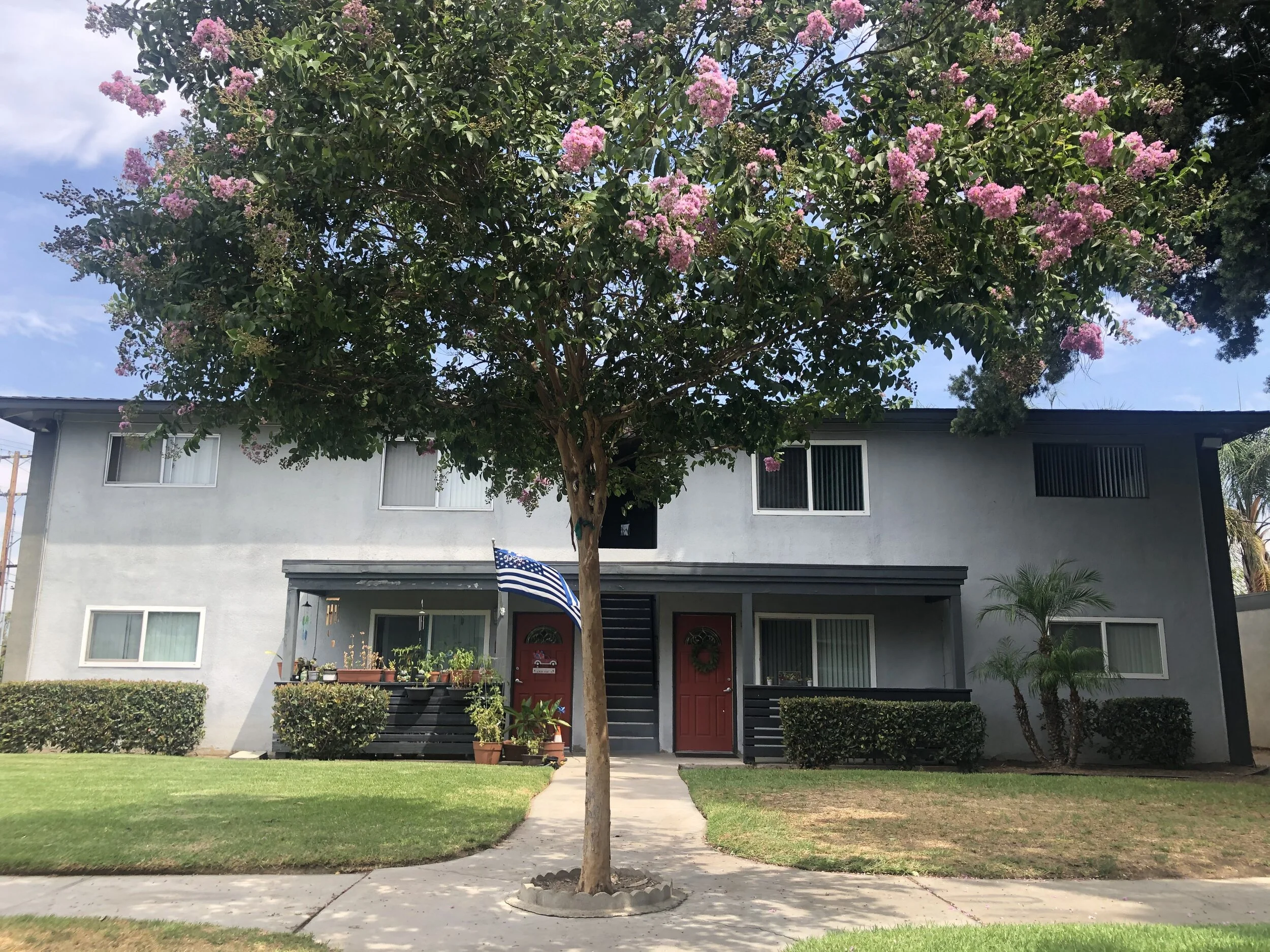 Exterior shot of the Met apartments with beautiful blooming tree. 