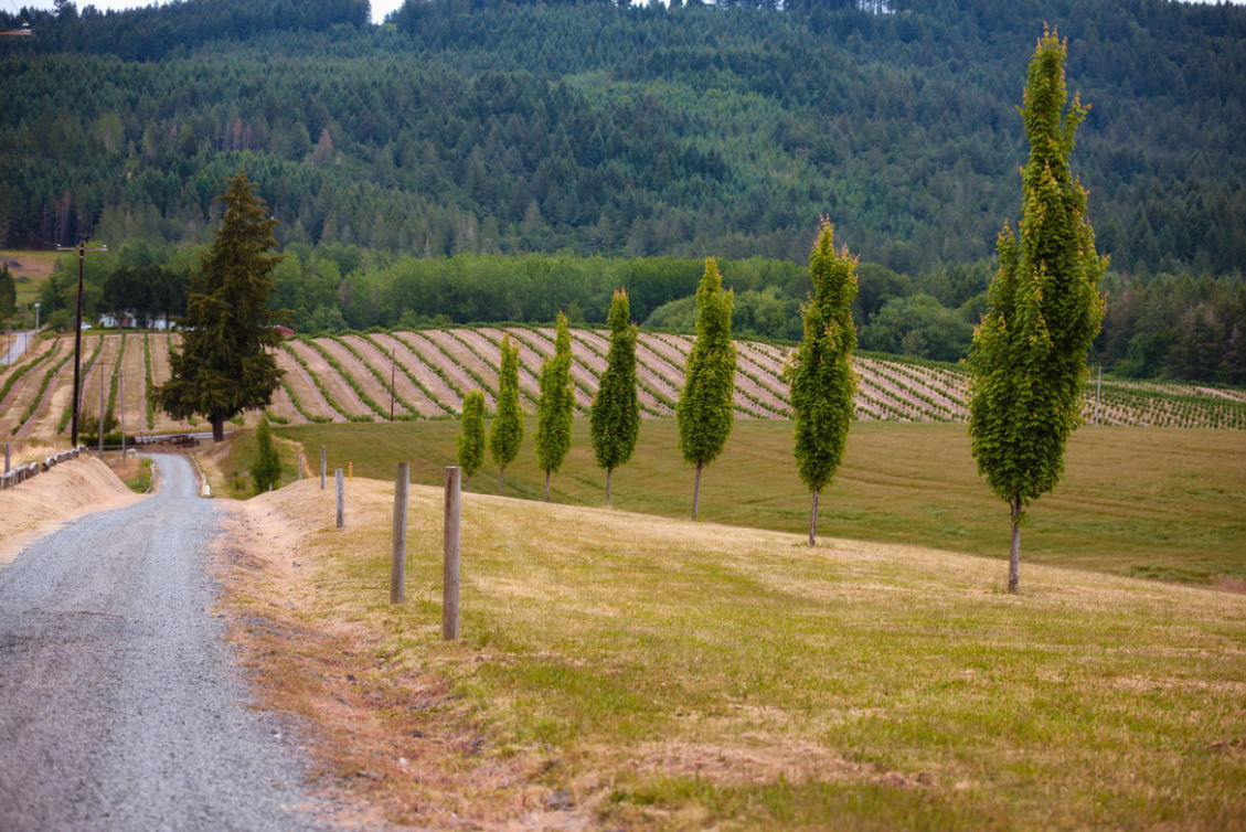 Screenshot 2023-07-19 173705.png