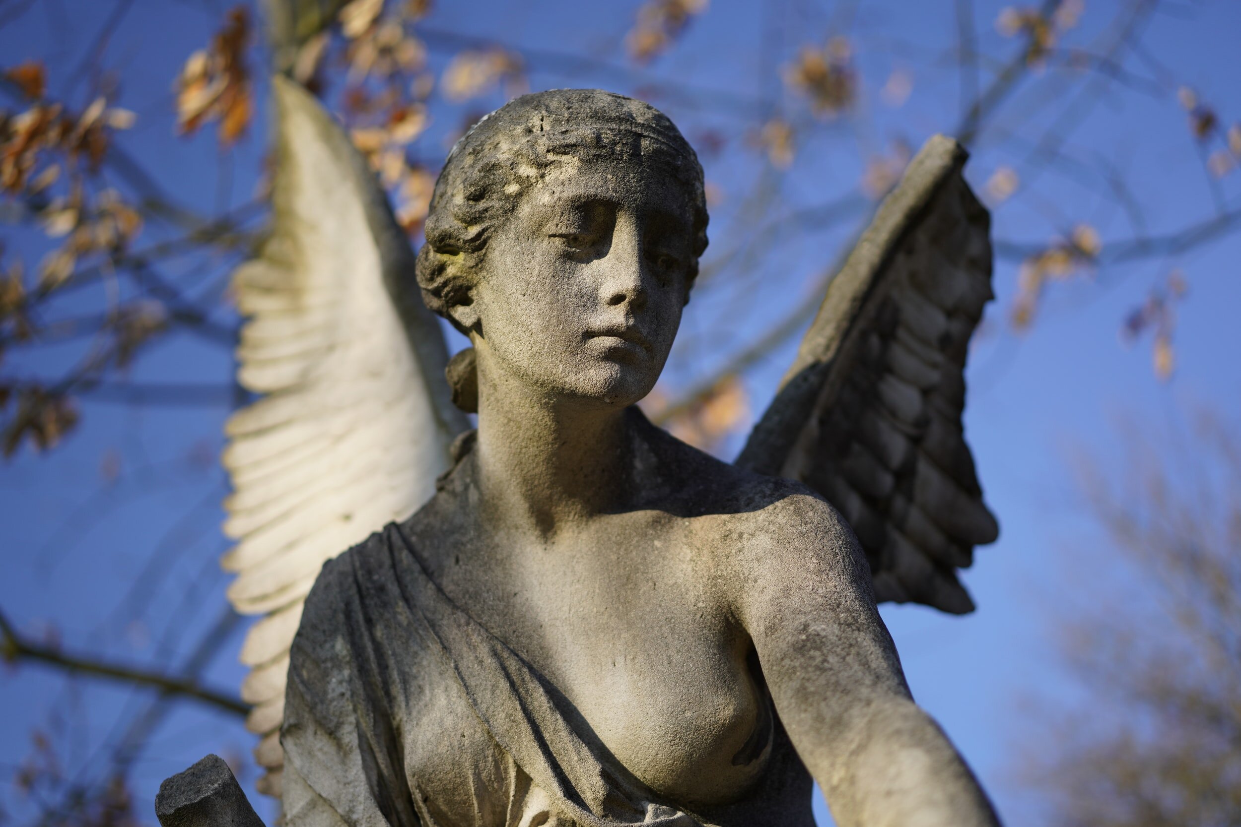 The Story of My Miscarriage