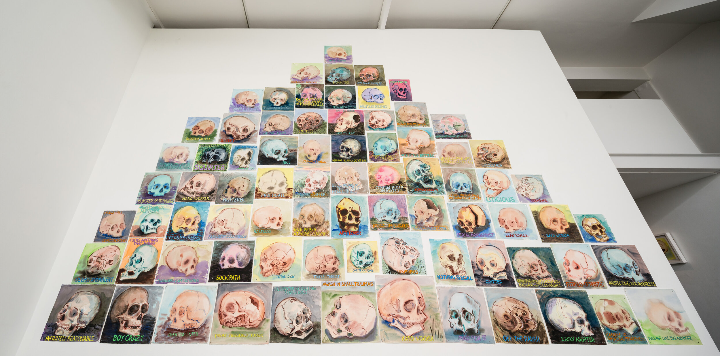  Guy Richards Smit,  A Mountain of Skulls and Not One I Recognize , Installation at CJG, Feb 2016 