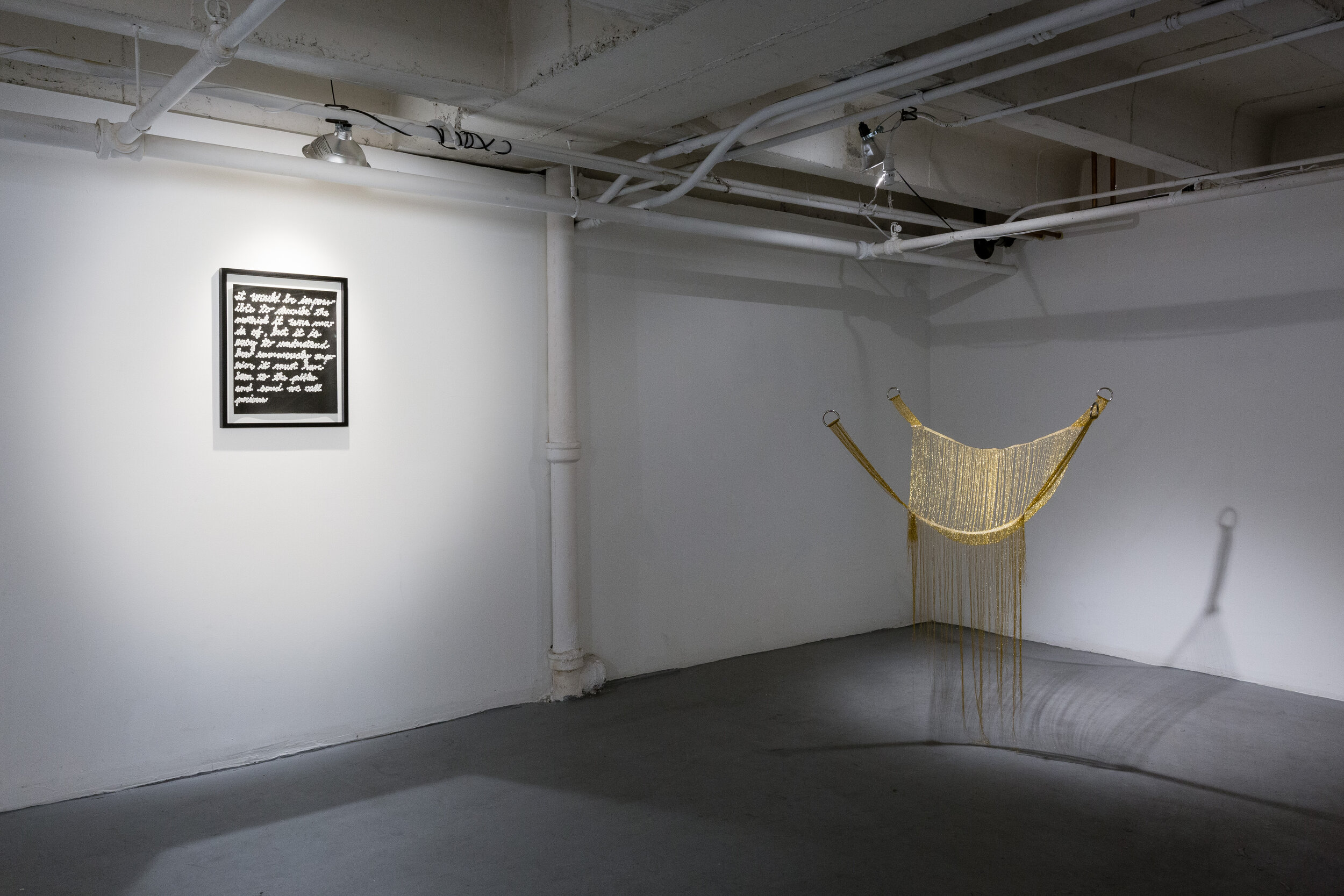   One After Another, In Succession , Curated by Johanna Breiding, Installation at CJG Oct 2015 
