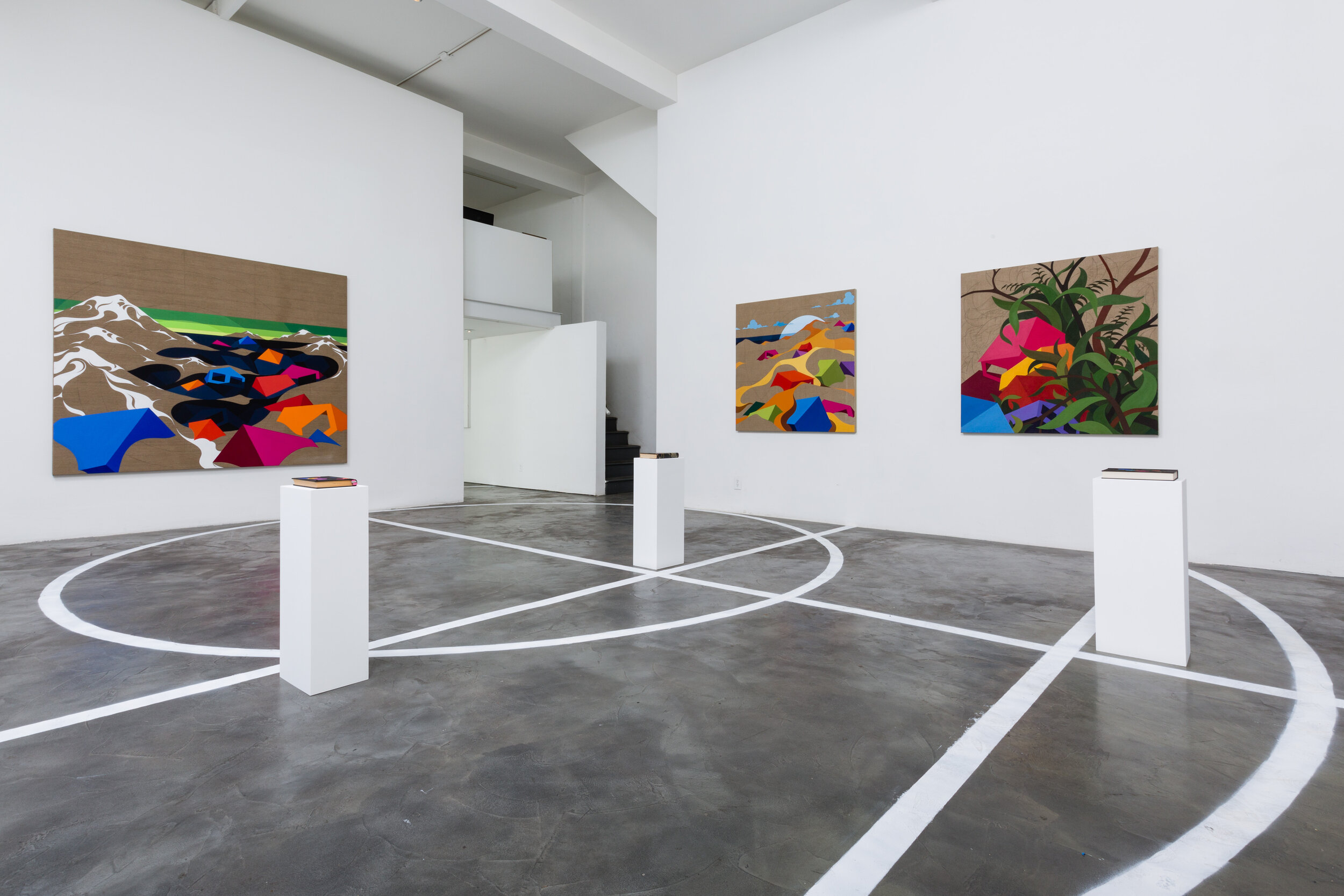  Eske Kath,  Arena , Installation at CJG, September 2014 