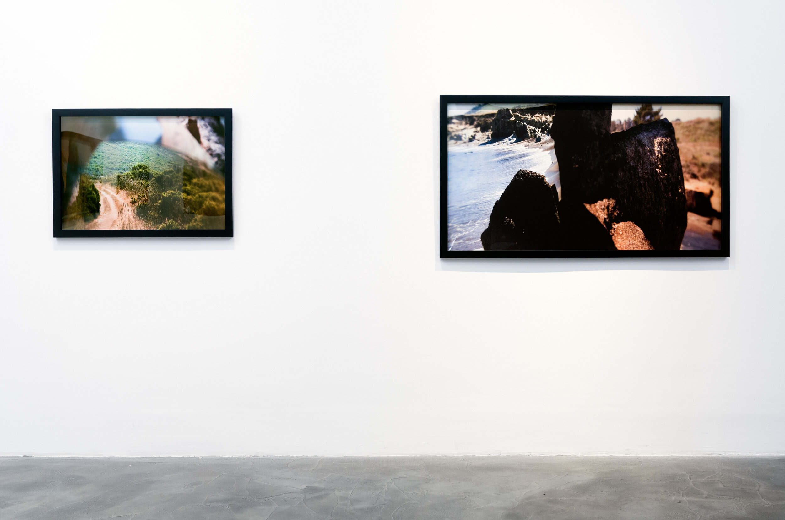  Carol Selter,  Outdoor World , in installation at CJG, July 2014 