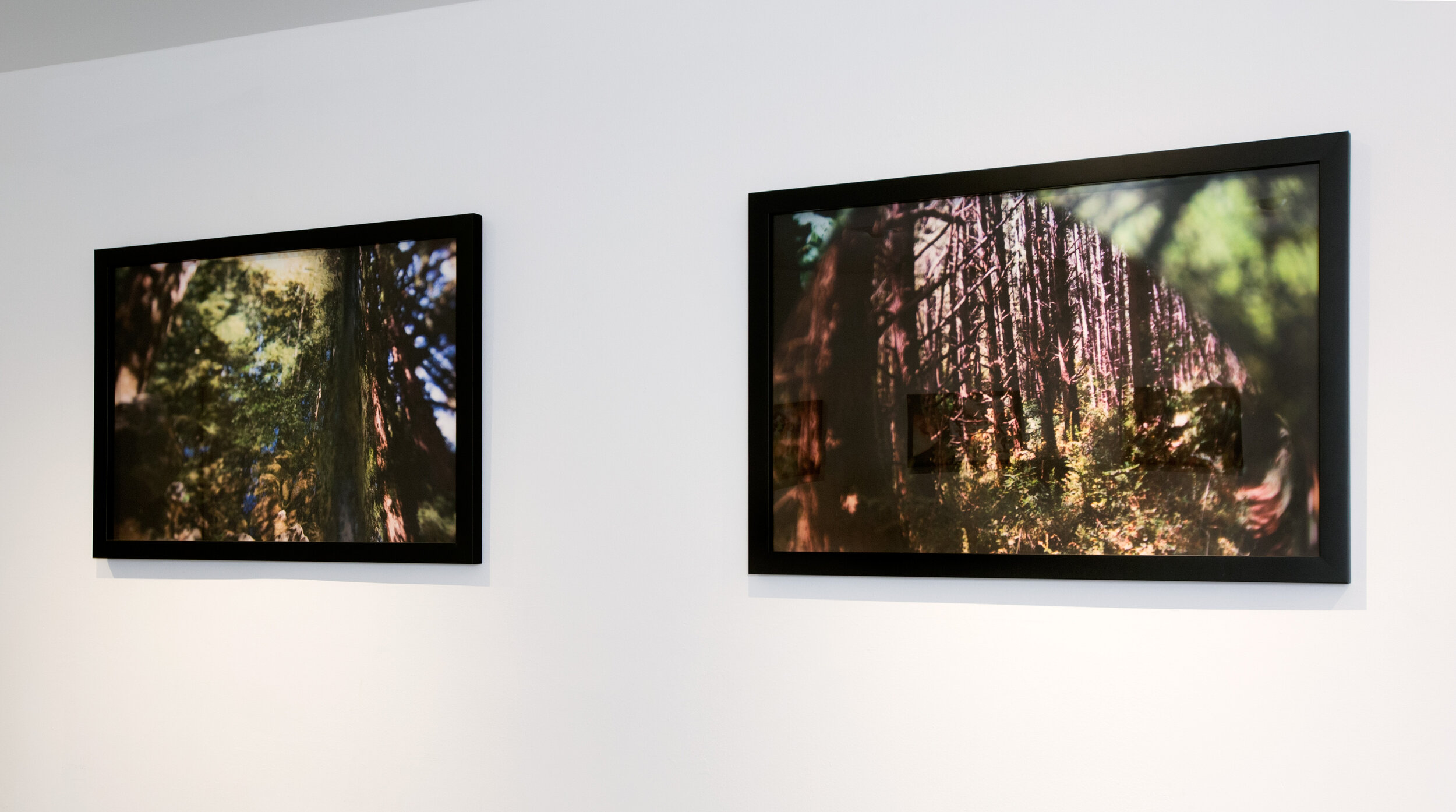  Carol Selter,  Outdoor World , in installation at CJG, July 2014 