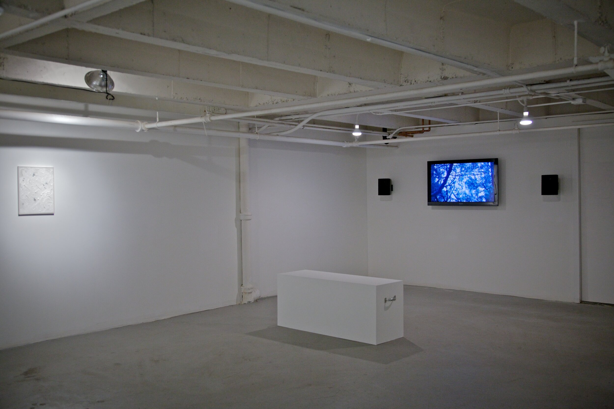   Dwelling in Erasure  - Curated by Alexandra Wetzel, in Installation at CJG, July 2013 