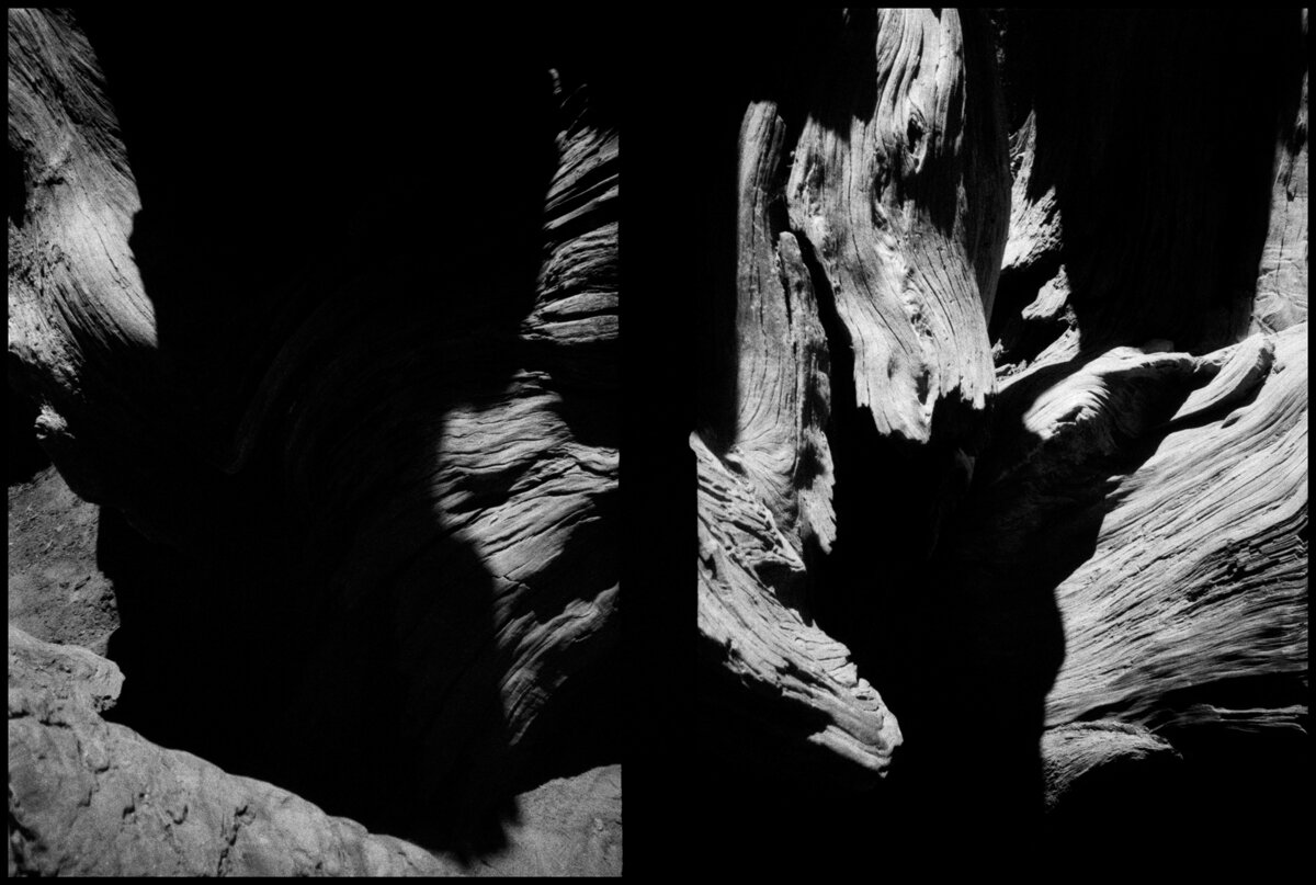  Included Middle (Sequoia Shadows) 26.75” H x 40” W Edition of 3 Archival Inkjet print on Baryta paper mounted on aluminum in a black lacquer frame 