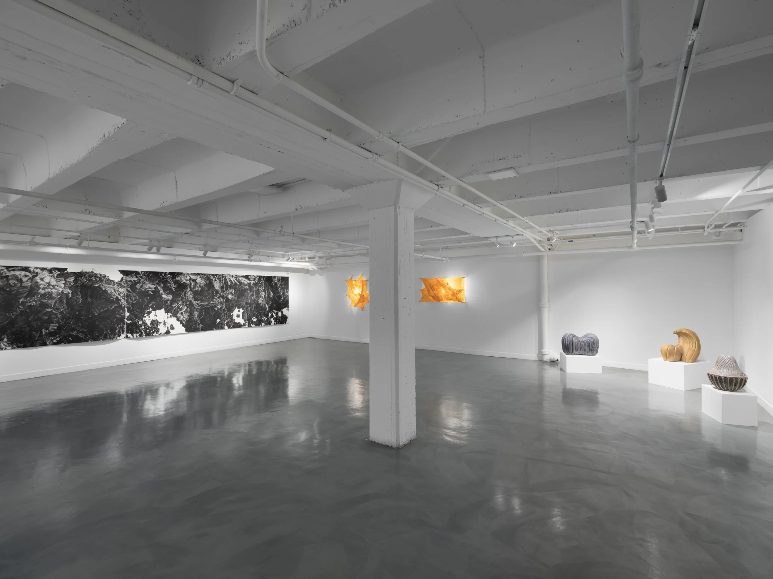 Food and Beyond, Beyond Food at Charlie James Gallery