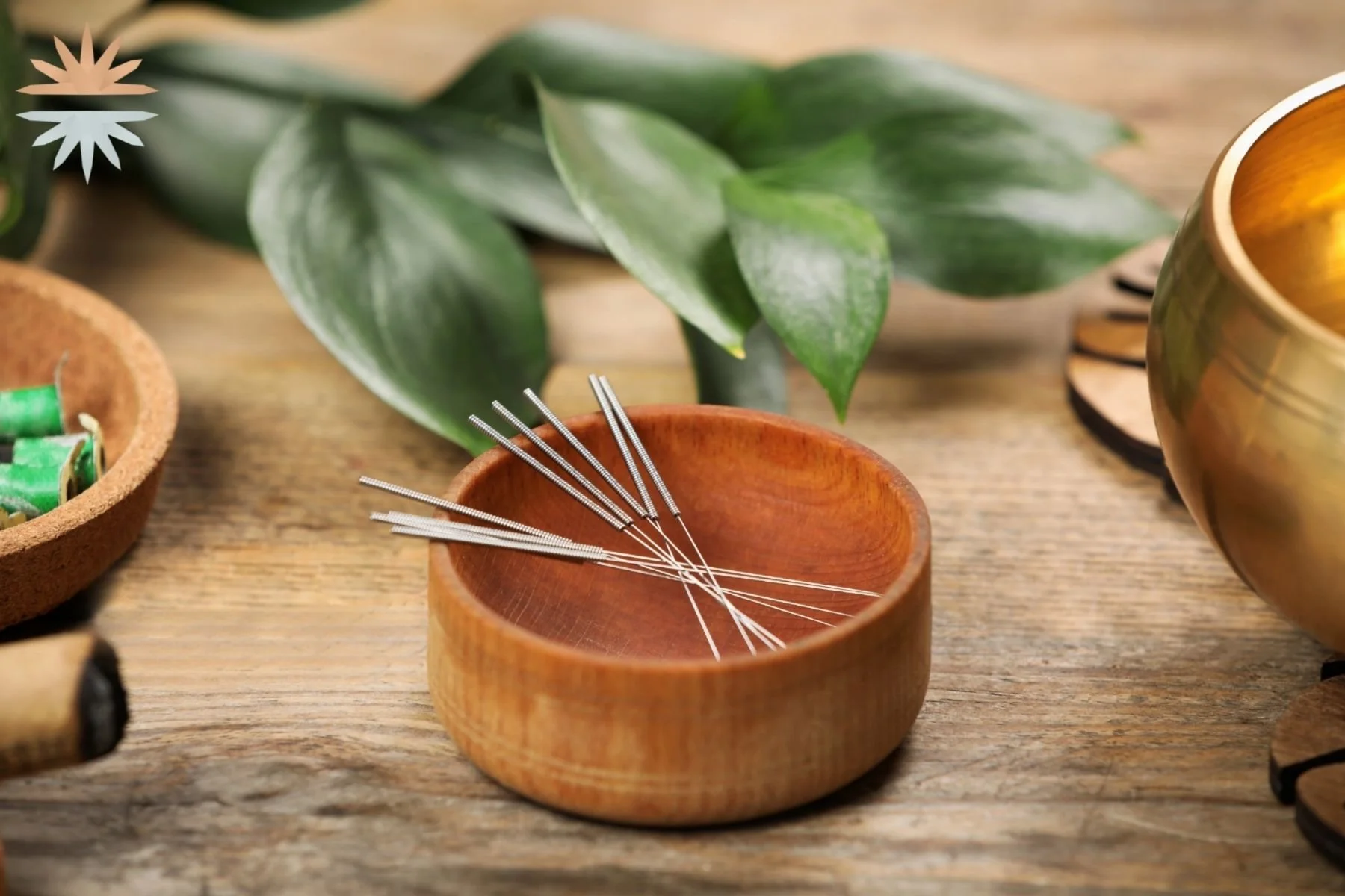 Acupuncture &amp; Dry Needling: So What Is The Difference?