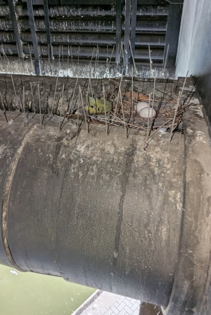 Screenshot 2026-01-16 at 17.17.48.png