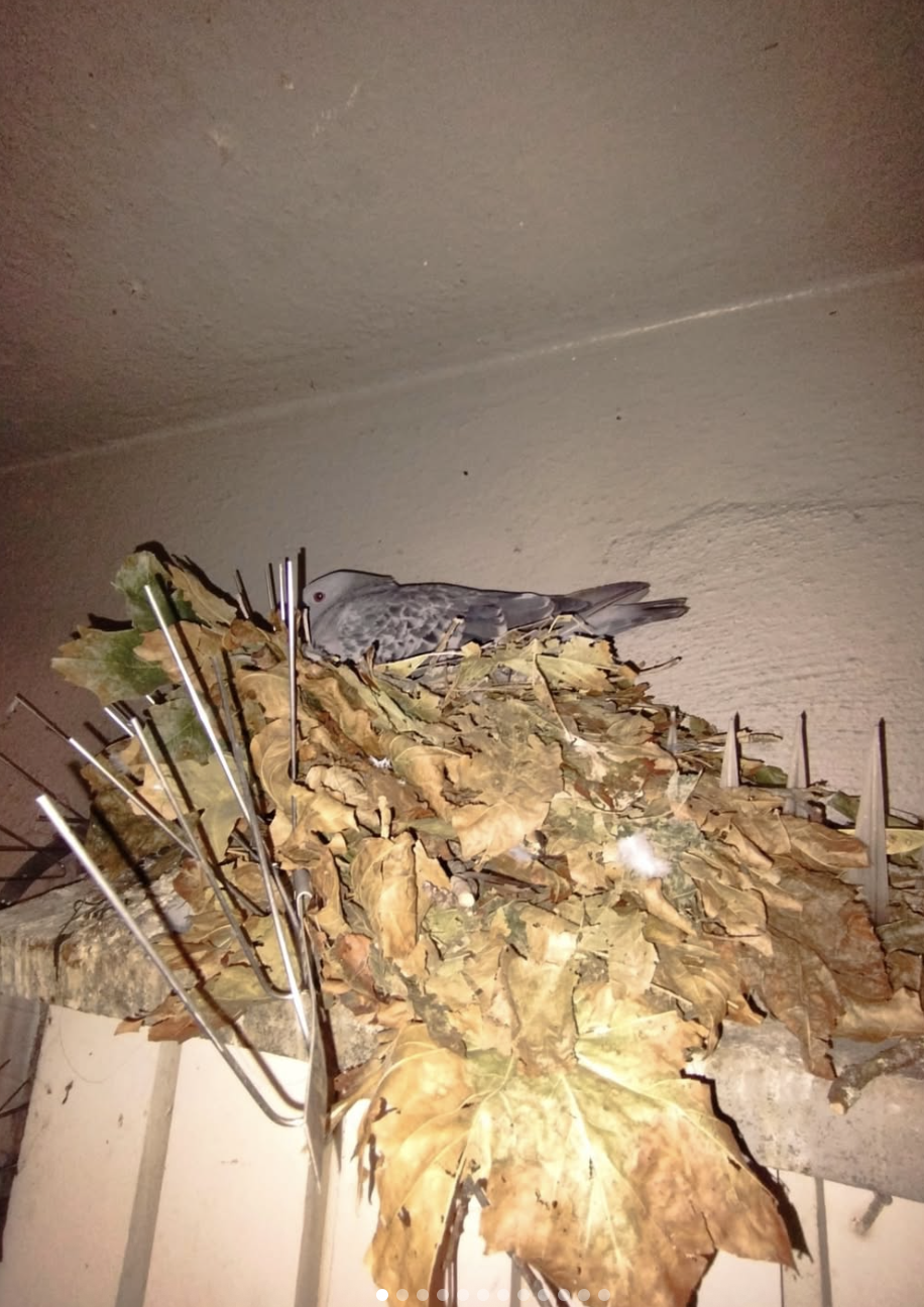 Screenshot 2026-01-16 at 17.14.53.png