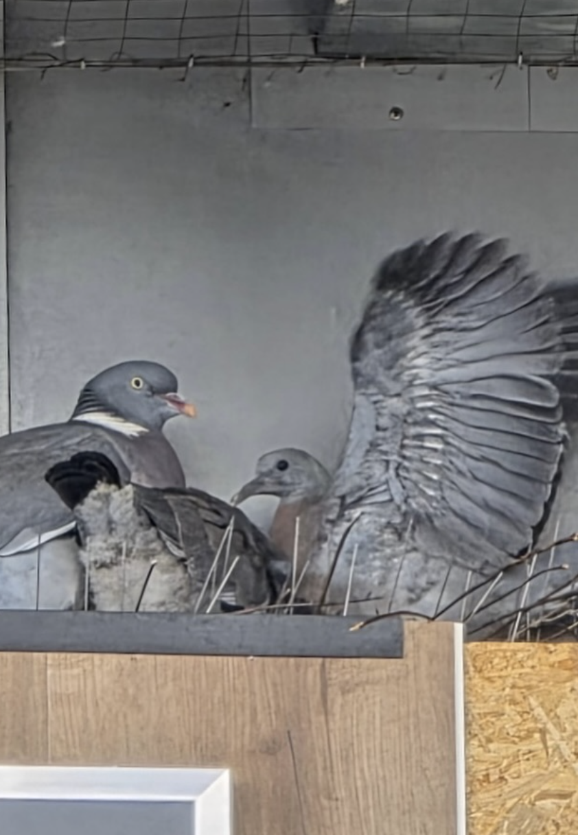 Screenshot 2026-01-16 at 17.17.38.png