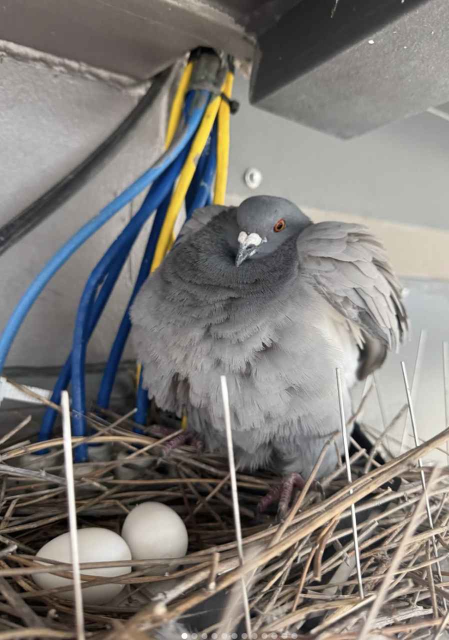 Screenshot 2026-01-16 at 17.17.15.png