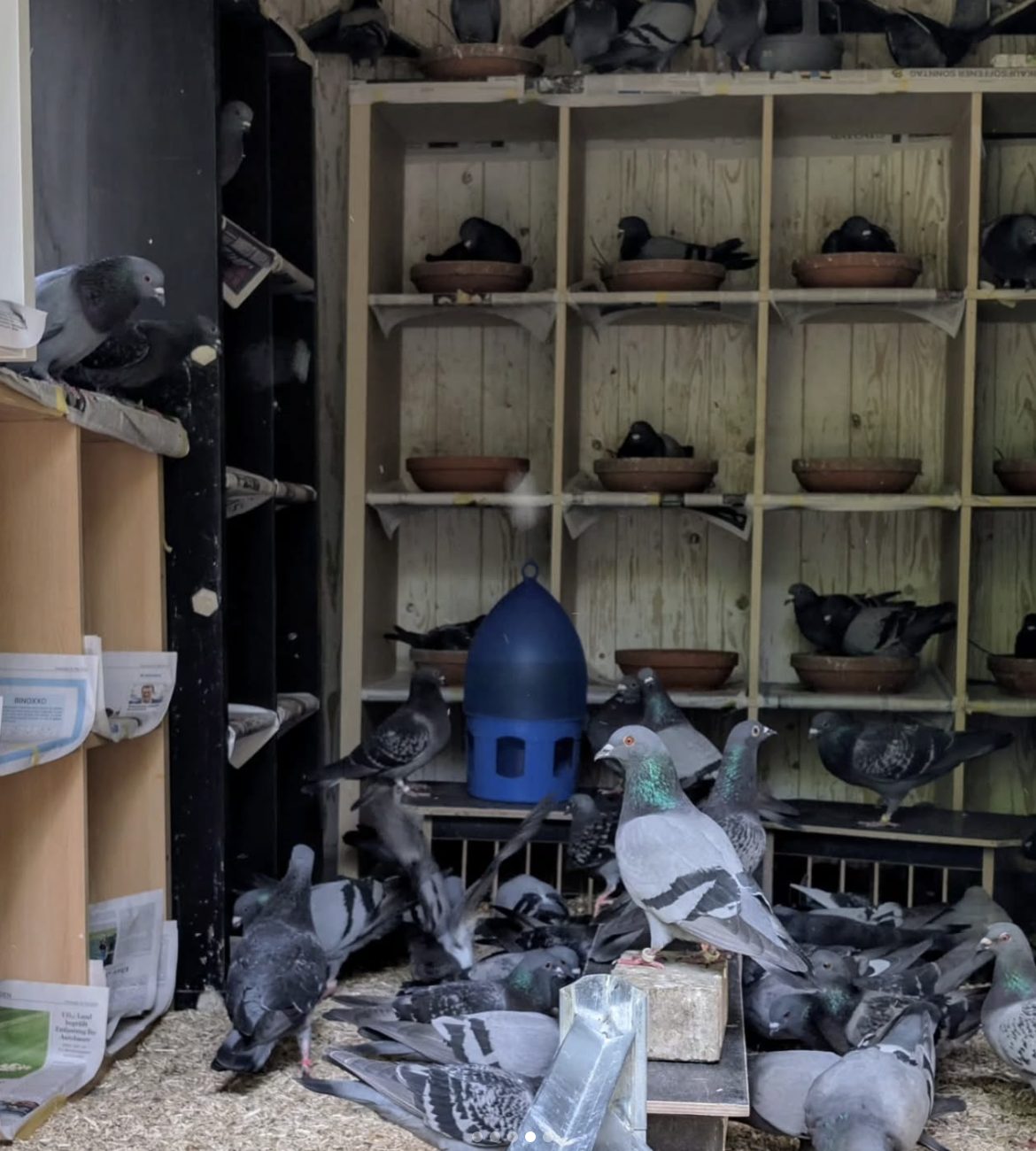 Screenshot 2026-01-16 at 17.23.39.png