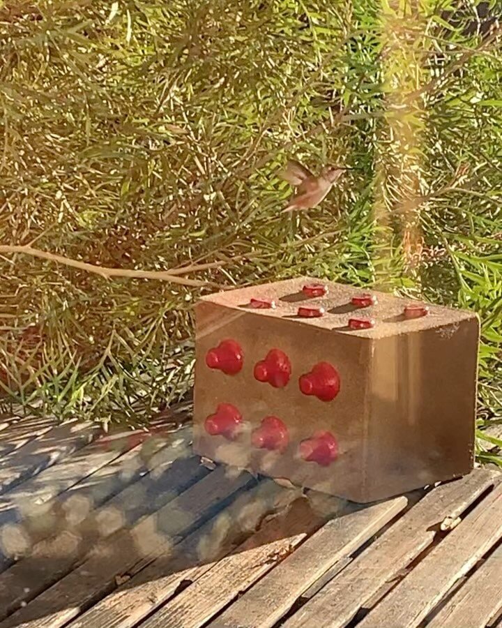 The mini birds have been using the hell out of my feeders! 
🪩👅🧚🏽&zwj;♀️