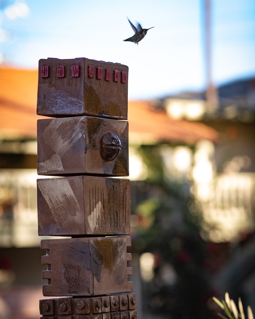 The dream shot!! from the loveliest hummingbird feeder shoot with @loumora at The Hummingbird Inn. 

This has been such a special project with @sheltersocialclub . A dozen feeders of varying configurations installed throughout the property, to be dis