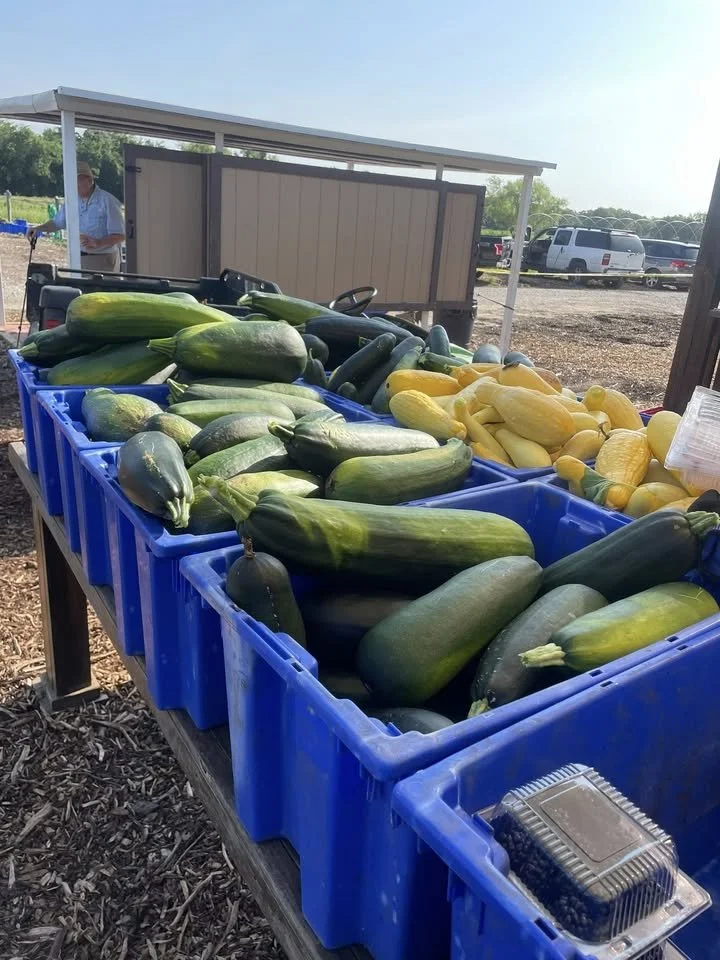 Cook Fresh:Eat Fresh! Baked Zucchini class