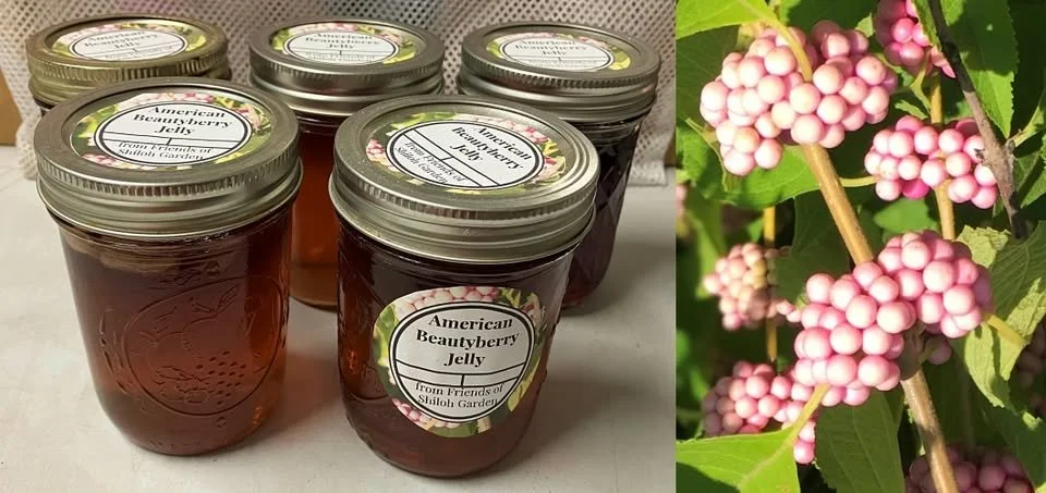 Cook Fresh:Eat Fresh! American Beautyberry jelly class