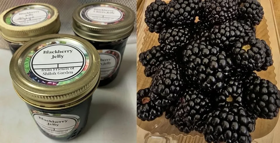 Cook Fresh:Eat Fresh! Blackberry jelly class