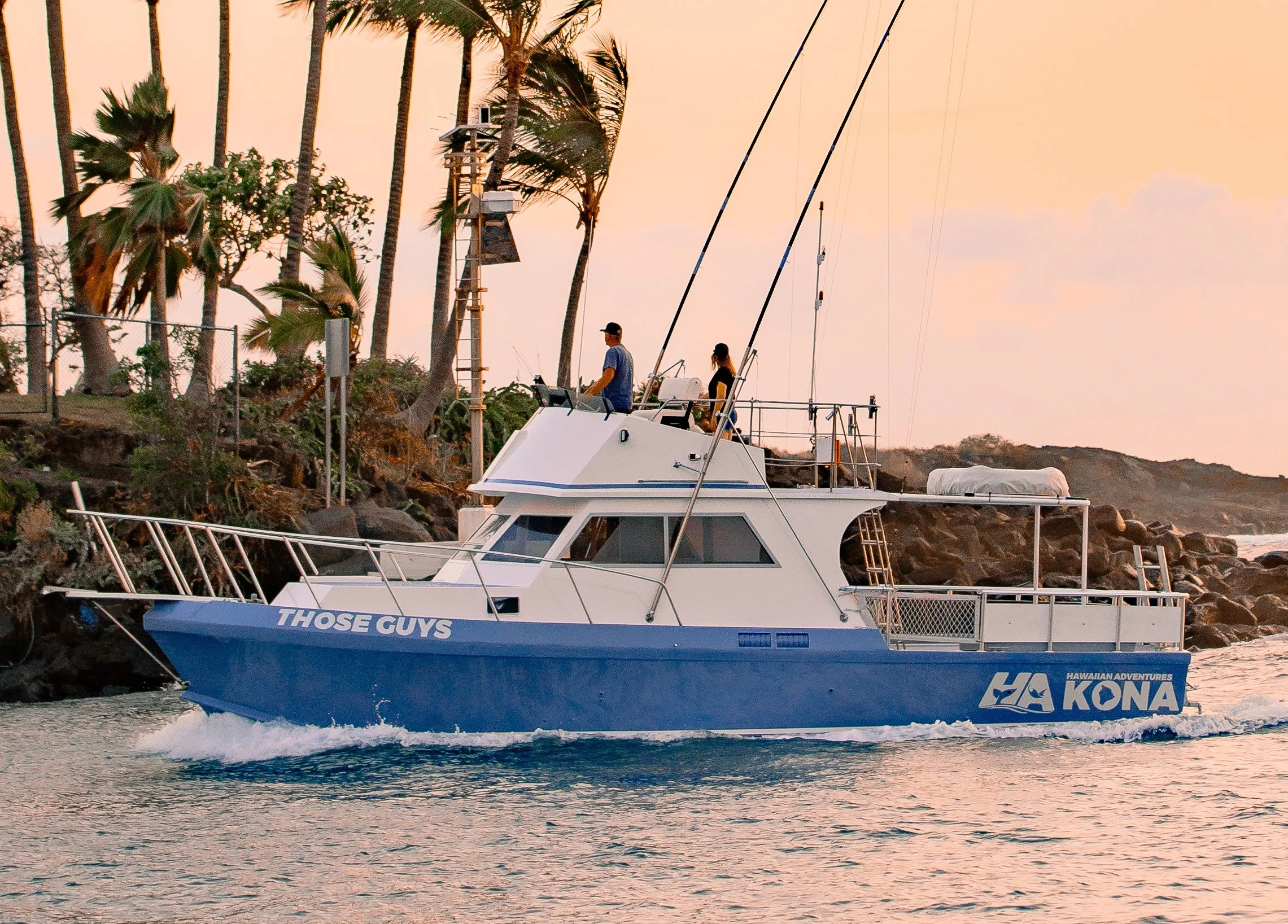 blue hawaii whale watching boat
